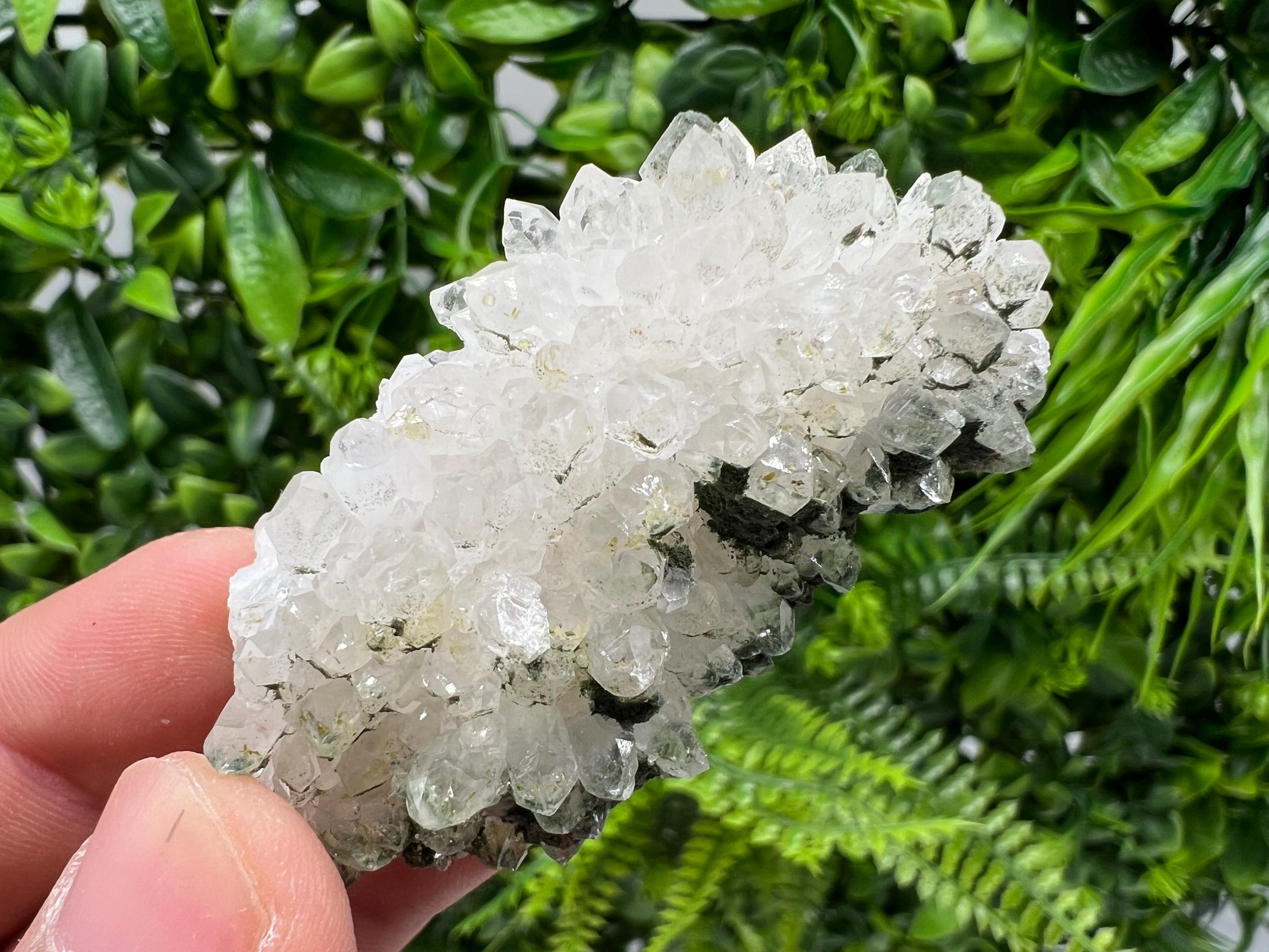 Transparent Quartz on Chlorite Matrix, Borieva Mine Mineral Specimen