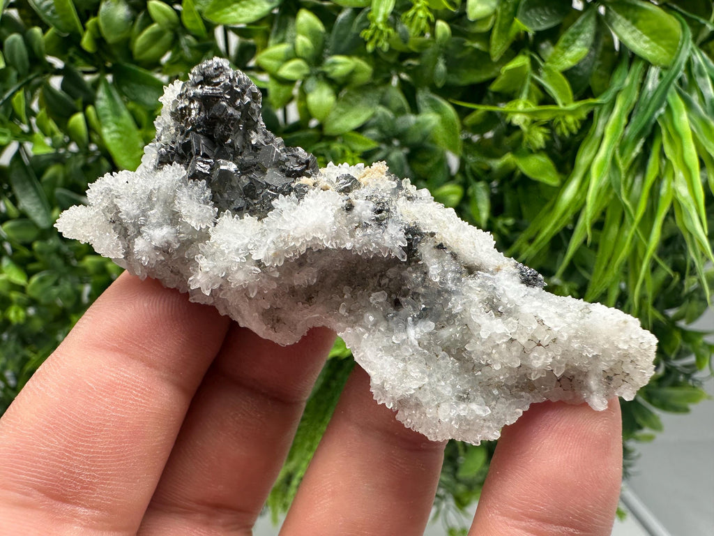 Sphalerite Cleiophane on Quartz, Krushev Dol Mine, Bulgaria
