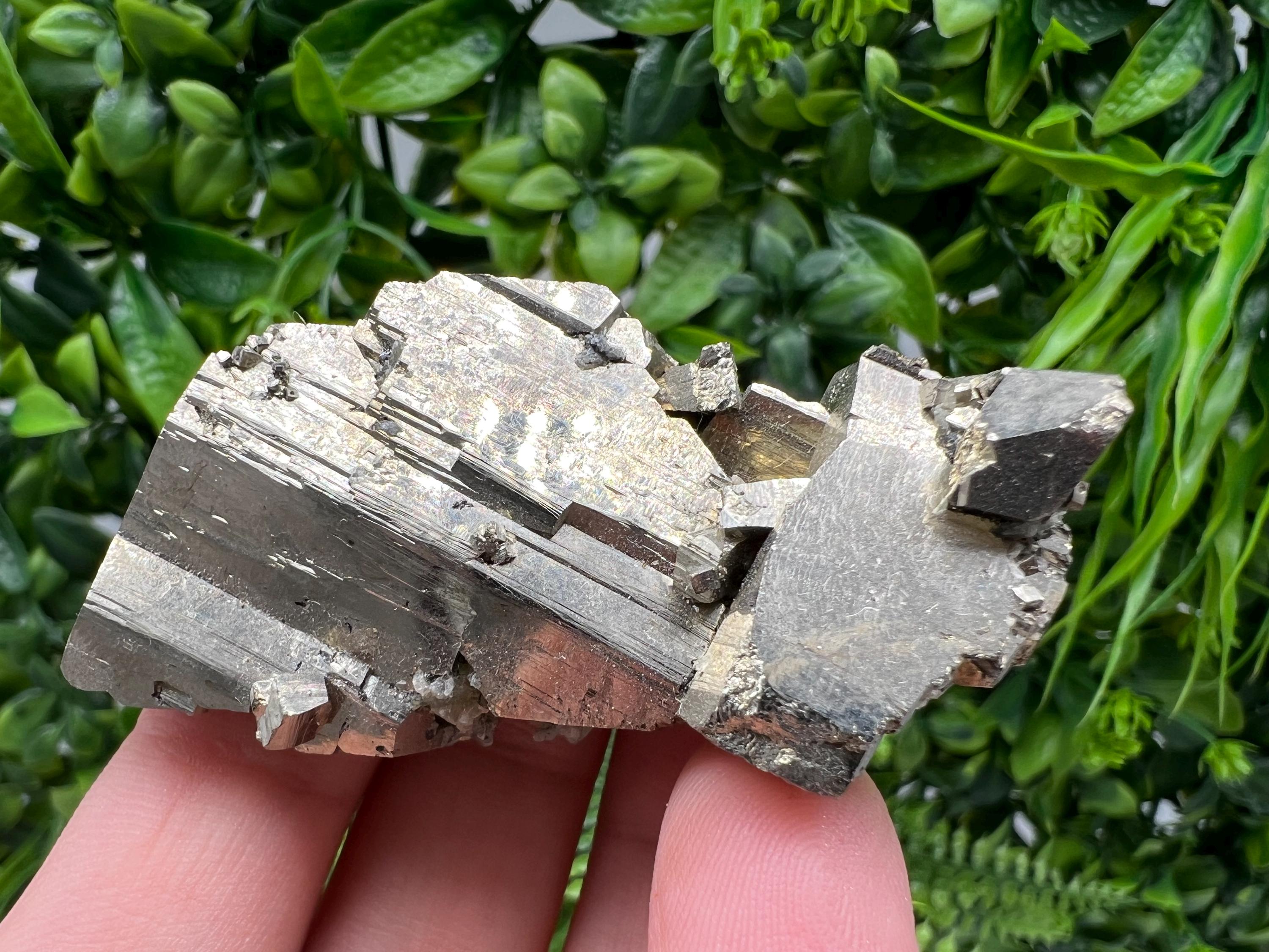 Rare crystallisation Pyrite,Borieva mine,Bulgaria,floating Pyrite,golden Pyrite,Pyrite cluster,mini Collection specimen,Rainbow Pyrite