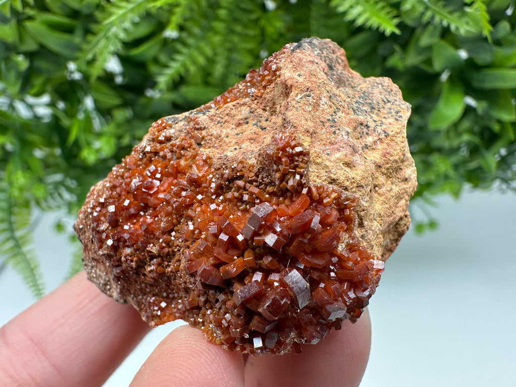 Red Vanadinite on Matrix from Marocco,crystal minerals Speciment cluster Vanadinite crystal Vanadinite Geology Vanadinite cluster minerals