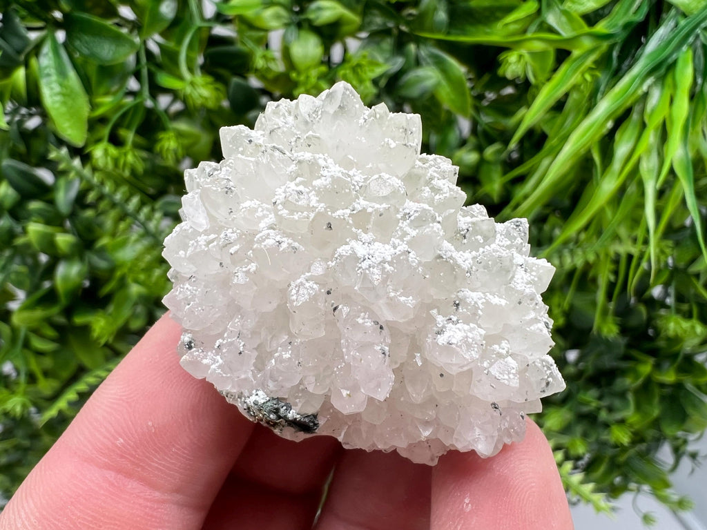 Transparent Quartz on Chlorite Matrix, Bulgaria Mineral Specimen