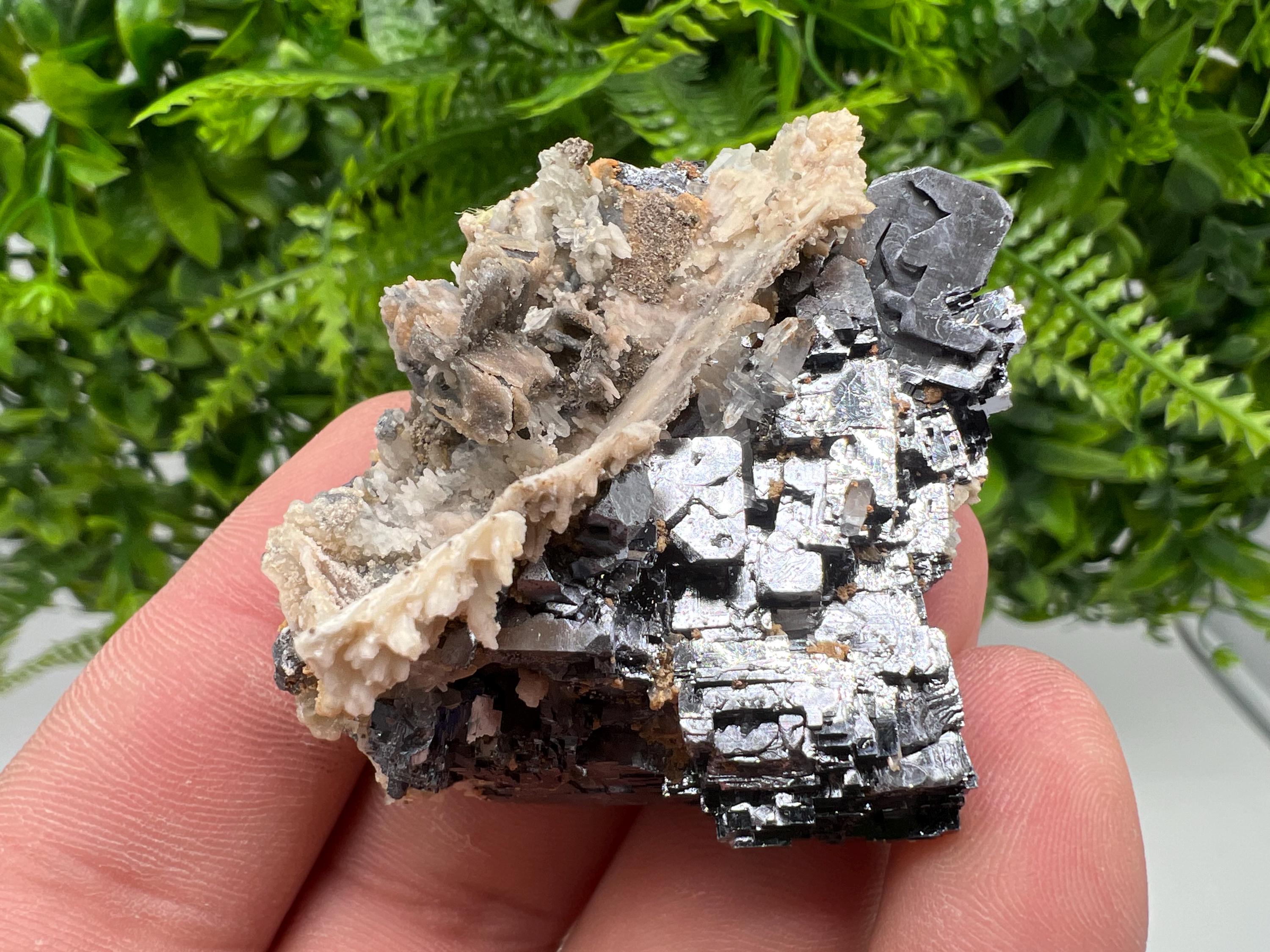 Aesthetic Natural shiny Galena whit Siderite and Quartz from 9 th September mine,Bulgaria,collection specimen,rare galena,Galena cluster