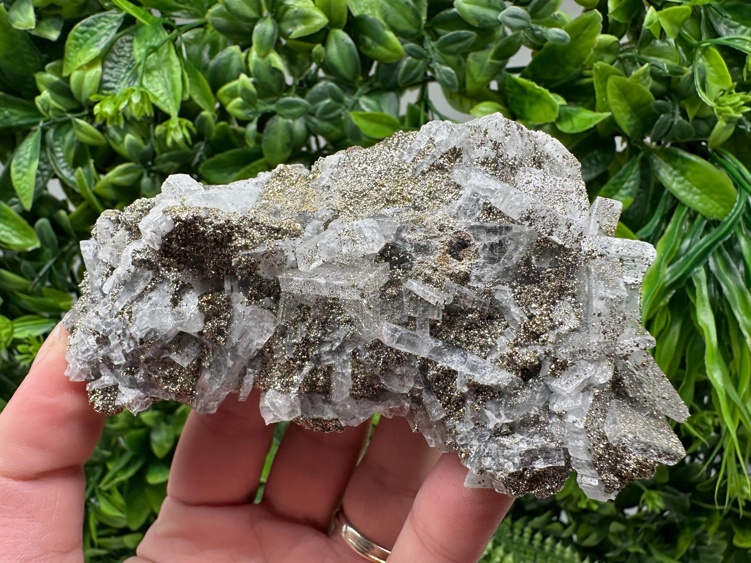 Marcasite Cluster,Barite on Chalcedony, Bulgaria Mineral Specimen