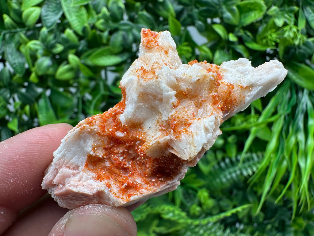 Red Vanadinite on Barite, Moroccan Crystal Cluster