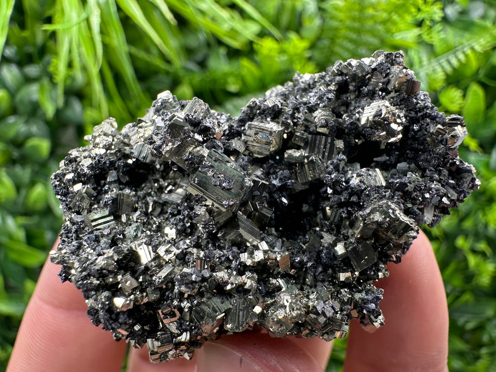 Pyrite on Quartz Needles, Borieva Mine Bulgaria, Mineral Specimen