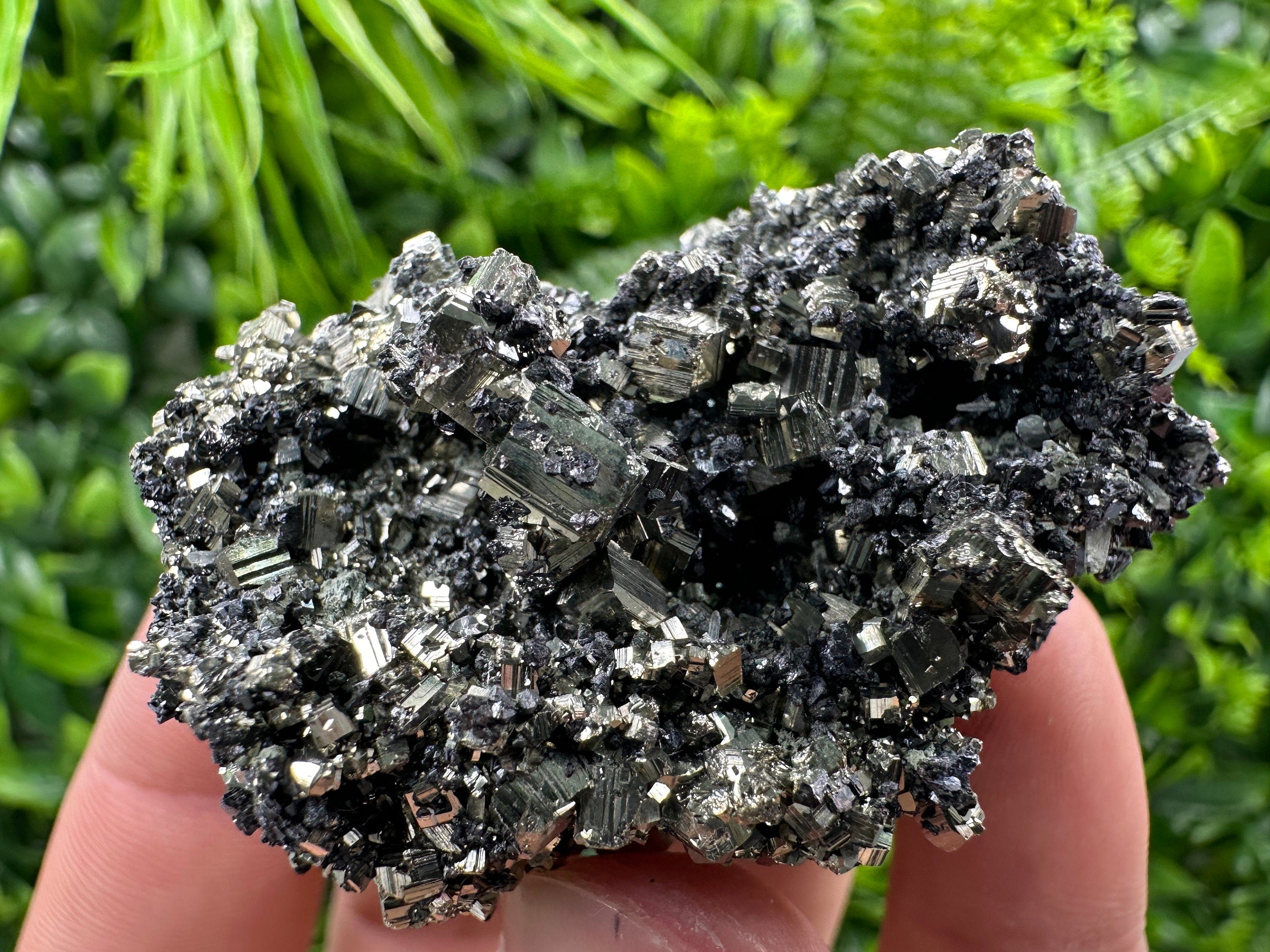 Pyrite on Quartz Needles, Borieva Mine Bulgaria, Mineral Specimen