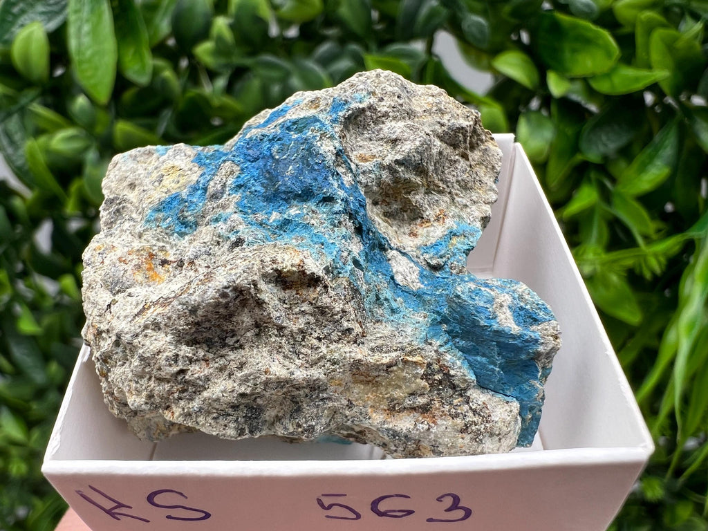 Rare Raw Aerinite Mineral Specimen: Collection Crystal from Lleida, Spain (4/3.5 CM)