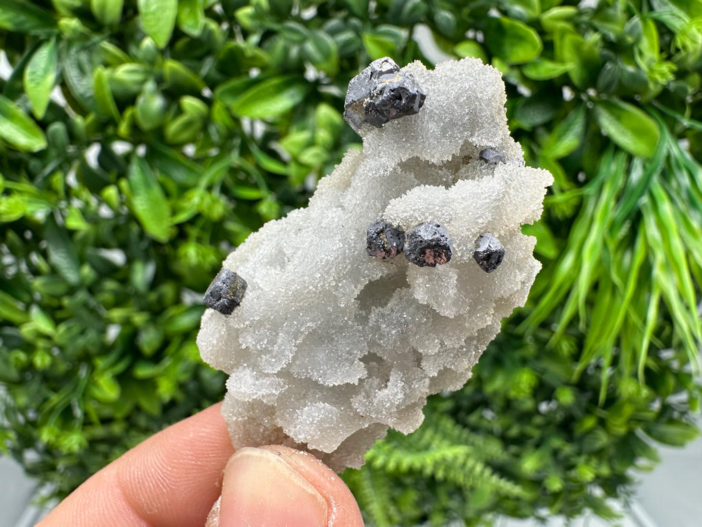 Rare Galena on Chalcedony Specimen, Madan Bulgaria Mineral