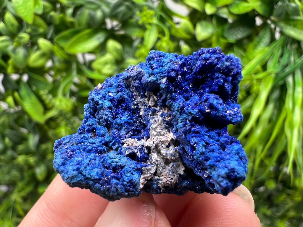 Crystallized Azurite-Kerrouchen,Morocco-Blue Azurite Specimen-High Quality Blue Azurite-Azurite Mineral Specimen, gemmy,lustrous of Azurite