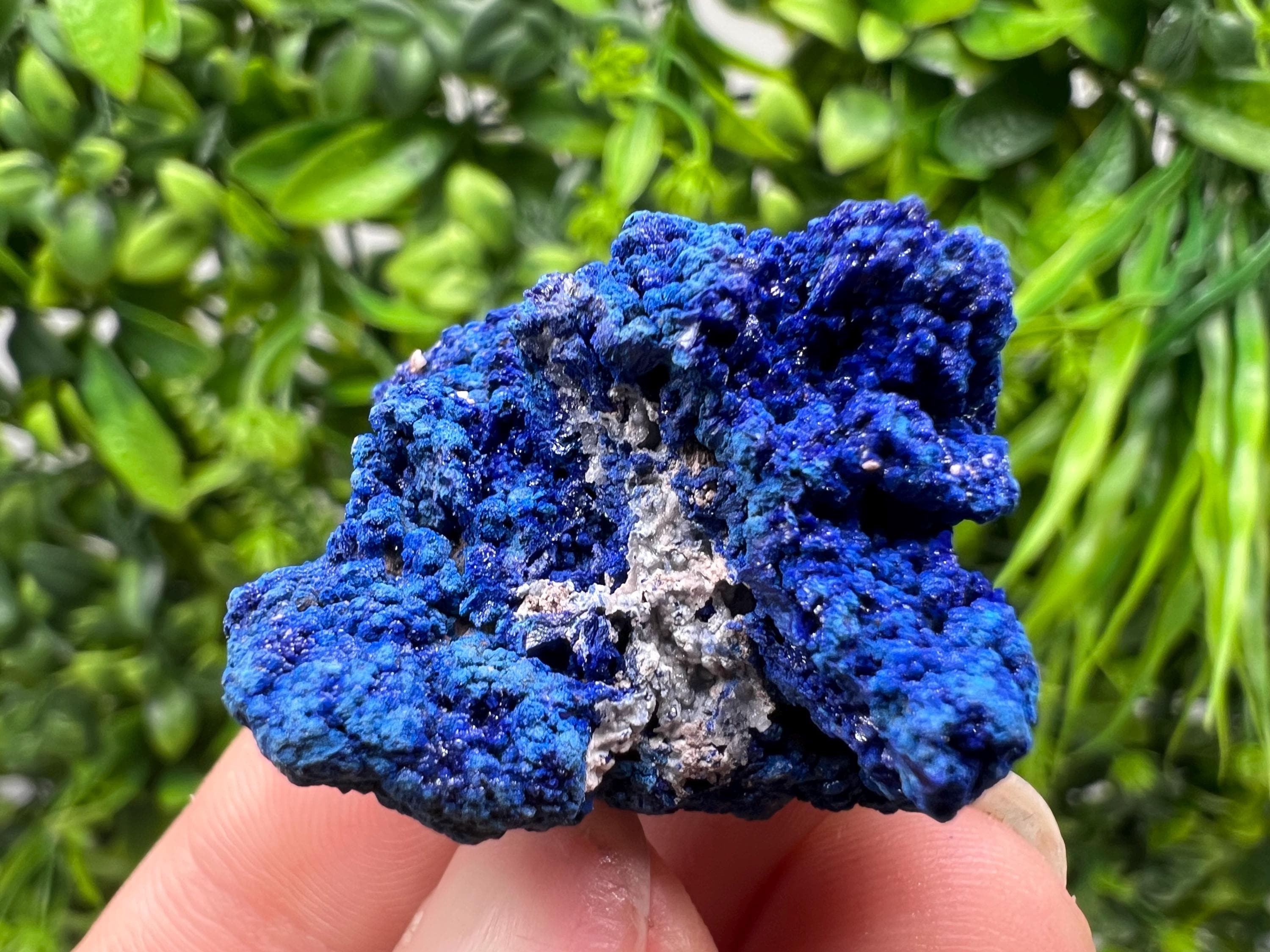 Crystallized Azurite-Kerrouchen,Morocco-Blue Azurite Specimen-High Quality Blue Azurite-Azurite Mineral Specimen, gemmy,lustrous of Azurite