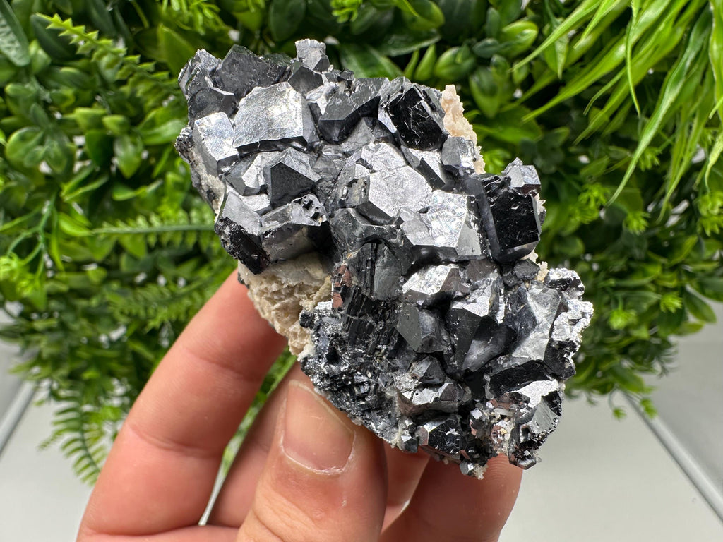 Mirror Galena from Krushev dol mine,Madan,Bulgaria