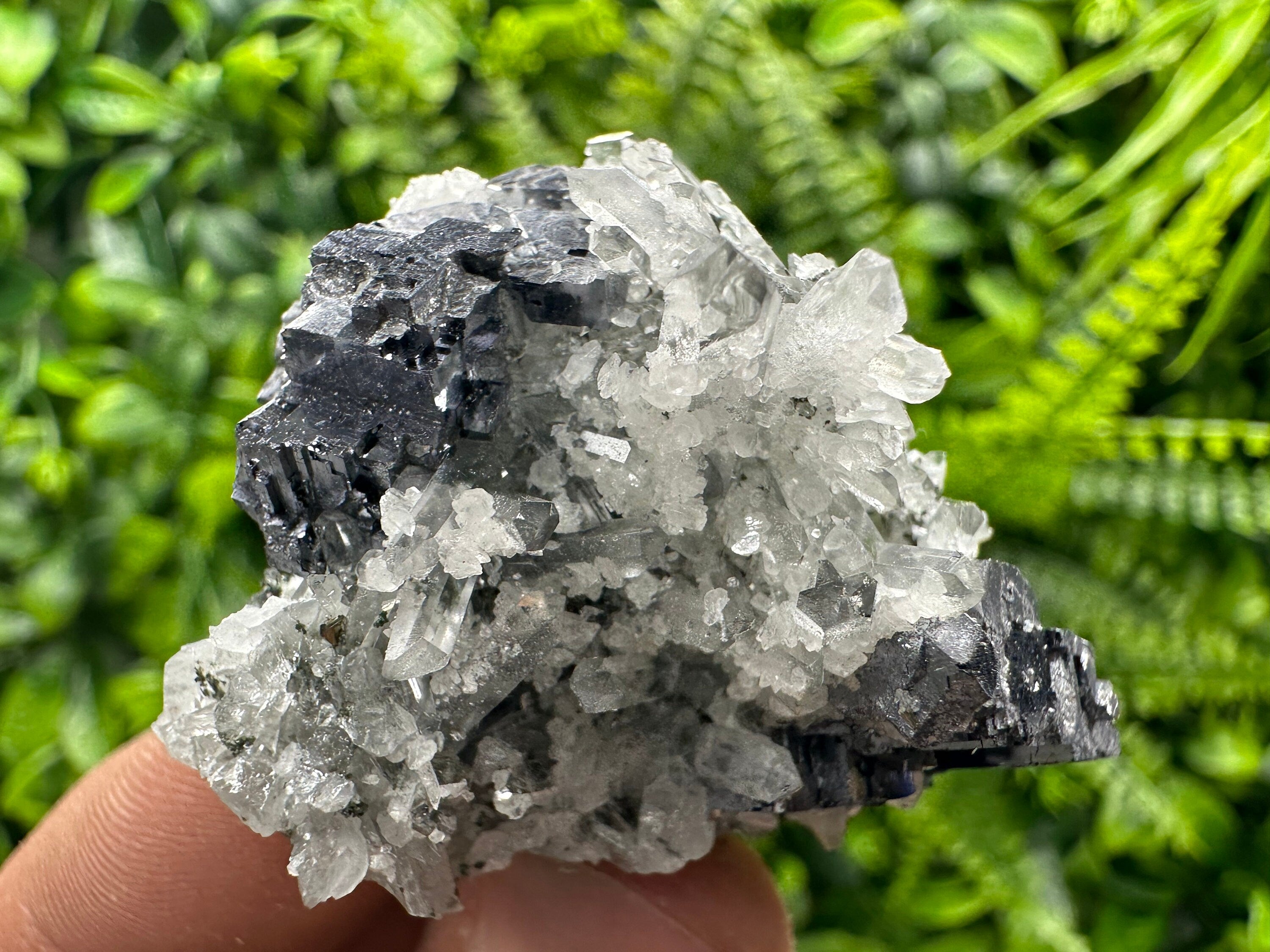 Galena on Quartz with Calcite: Natural Mineral Souvenir