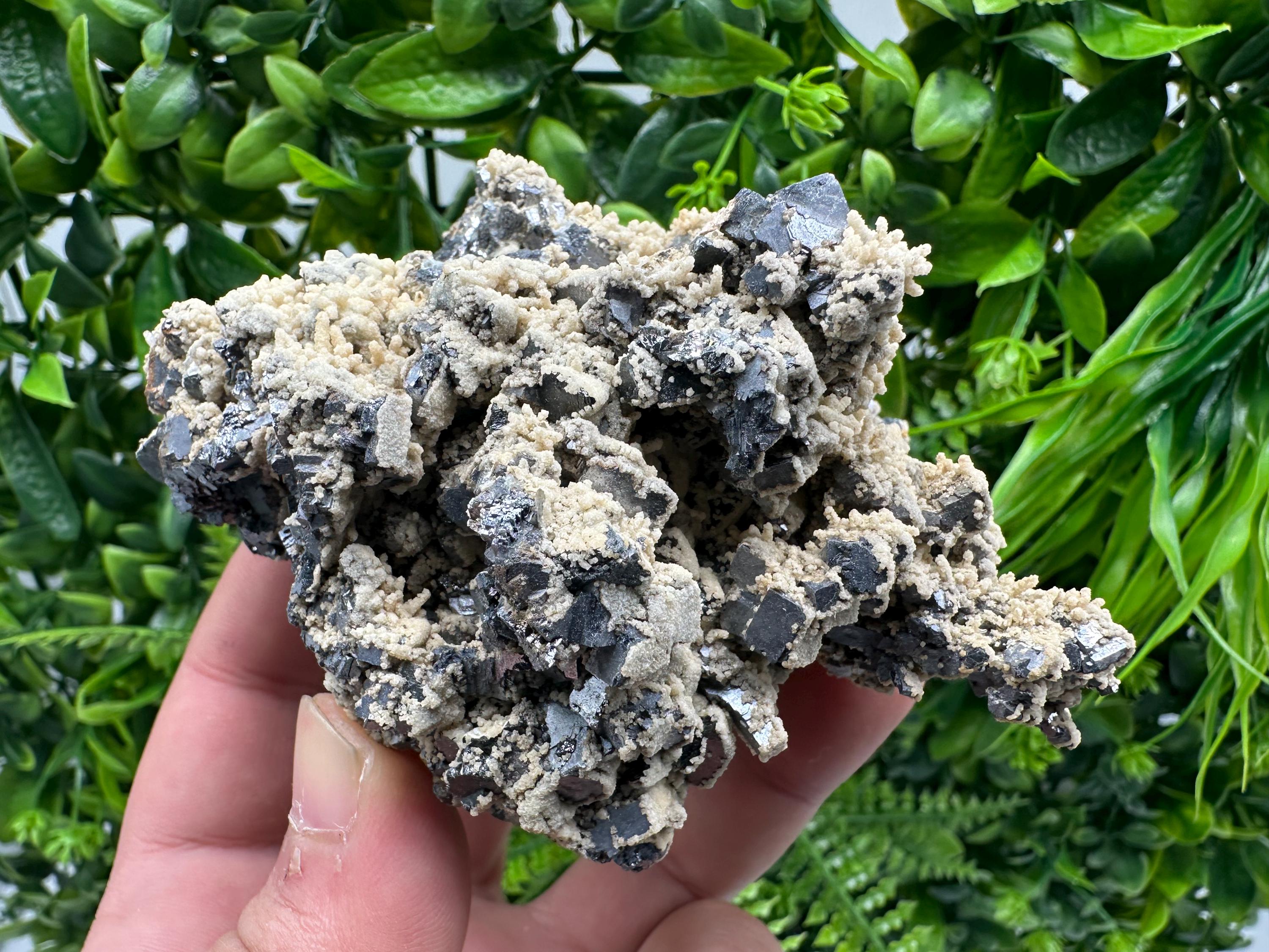 Galena Dolomite Cluster, Krushev dol Bulgaria Mineral Specimen