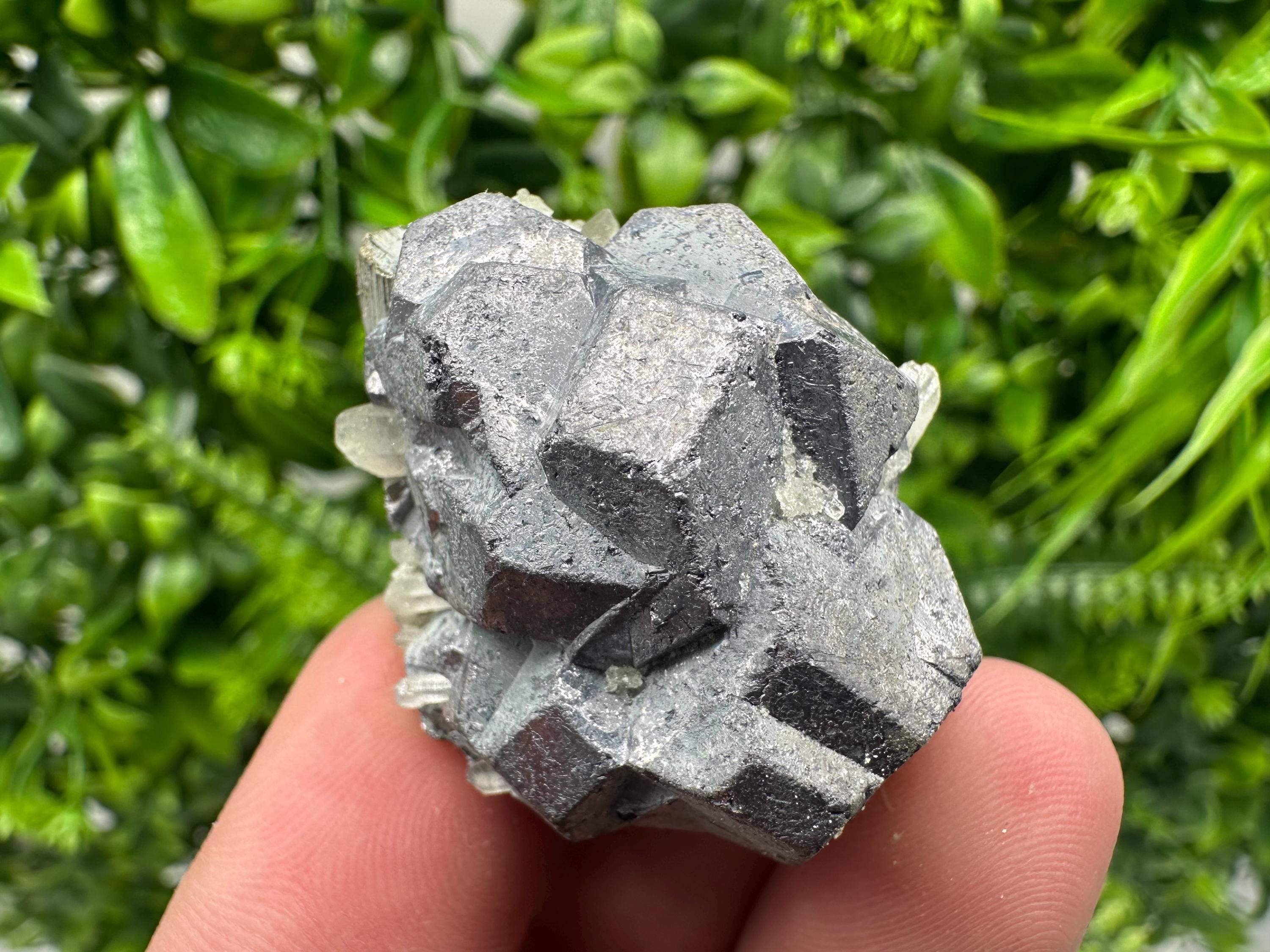 Galena on Pyrite Mineral Specimen, Borieva Mine, Bulgaria
