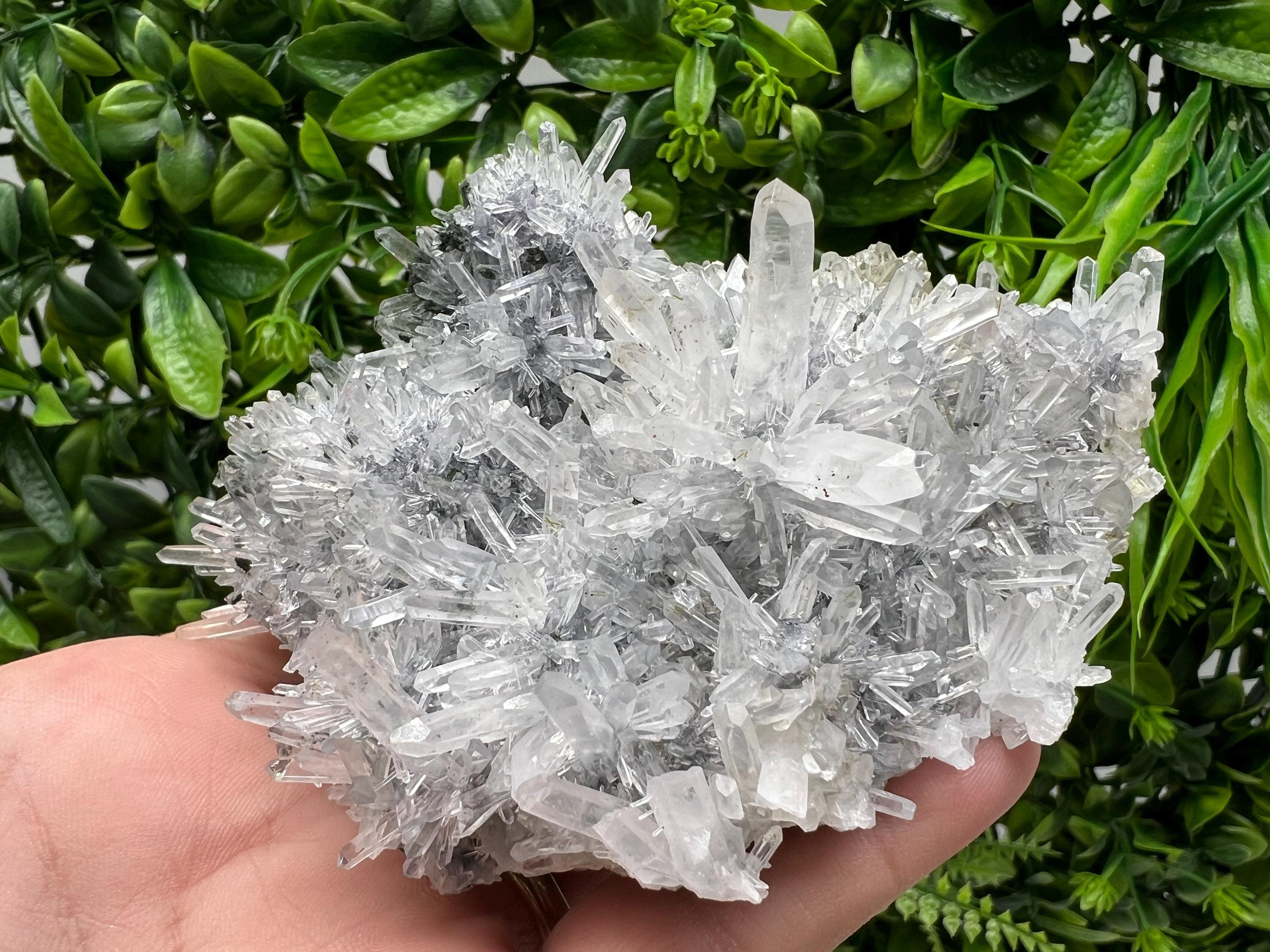Stunning Transparent Quartz,from Borieva mine,natural collection mineral specimen rare crystal,home decor crystal,quartz cluster,Quartz,gift