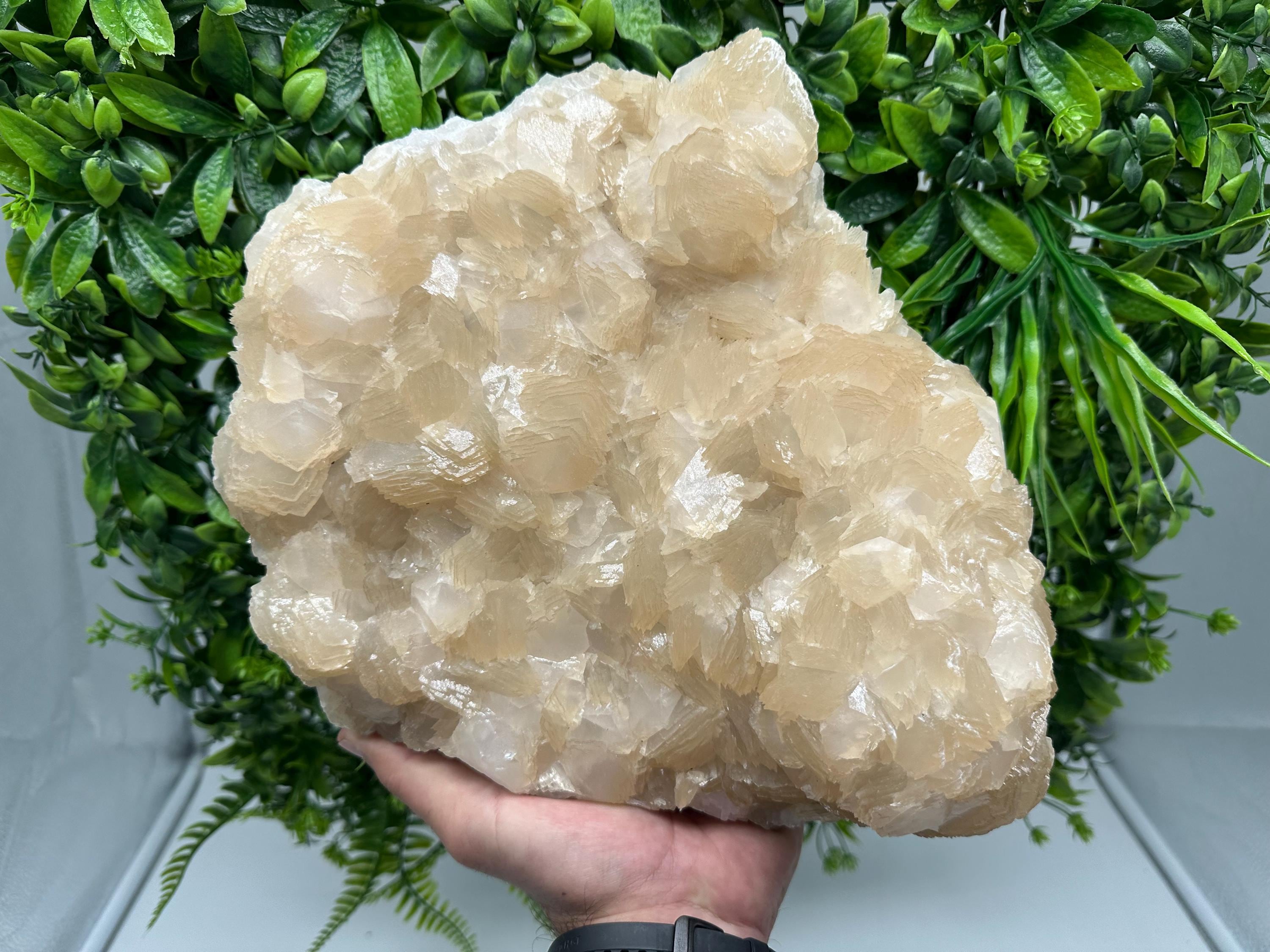 Extra Large Pink Manganocalcite Specimen: Krushev Dol Mine, Bulgaria