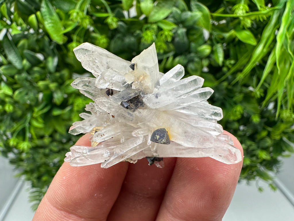 Wonderful Sphalerite Chalcopyrite on  Quartz whit Hematite feom 9 th September mine,Bulgaria,natural,collection mineral specimen,gift