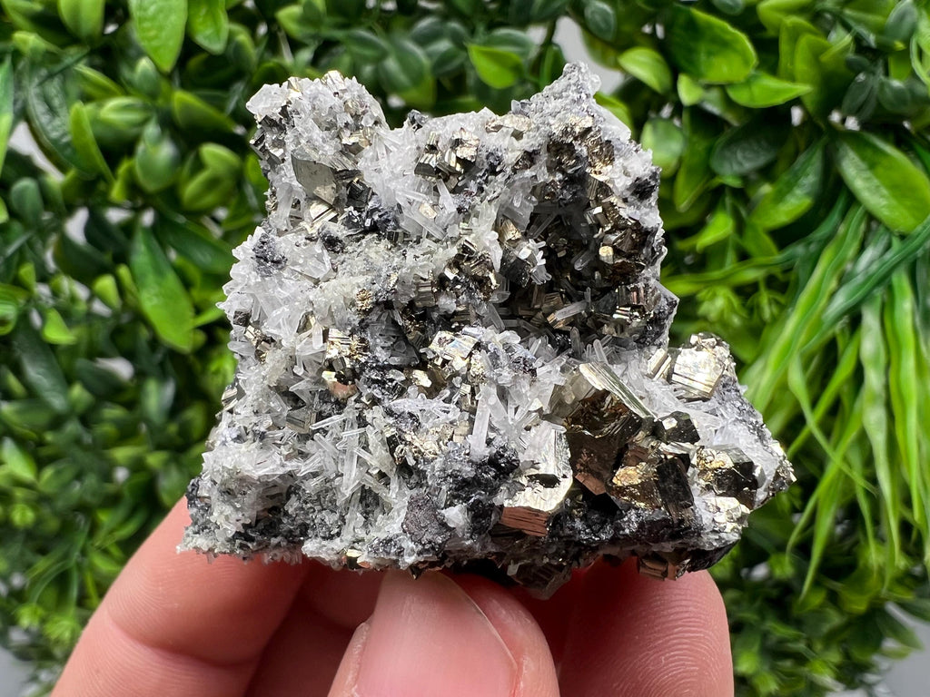 Pyrite on Green Quartz Mineral Specimen, Borieva Mine Bulgaria