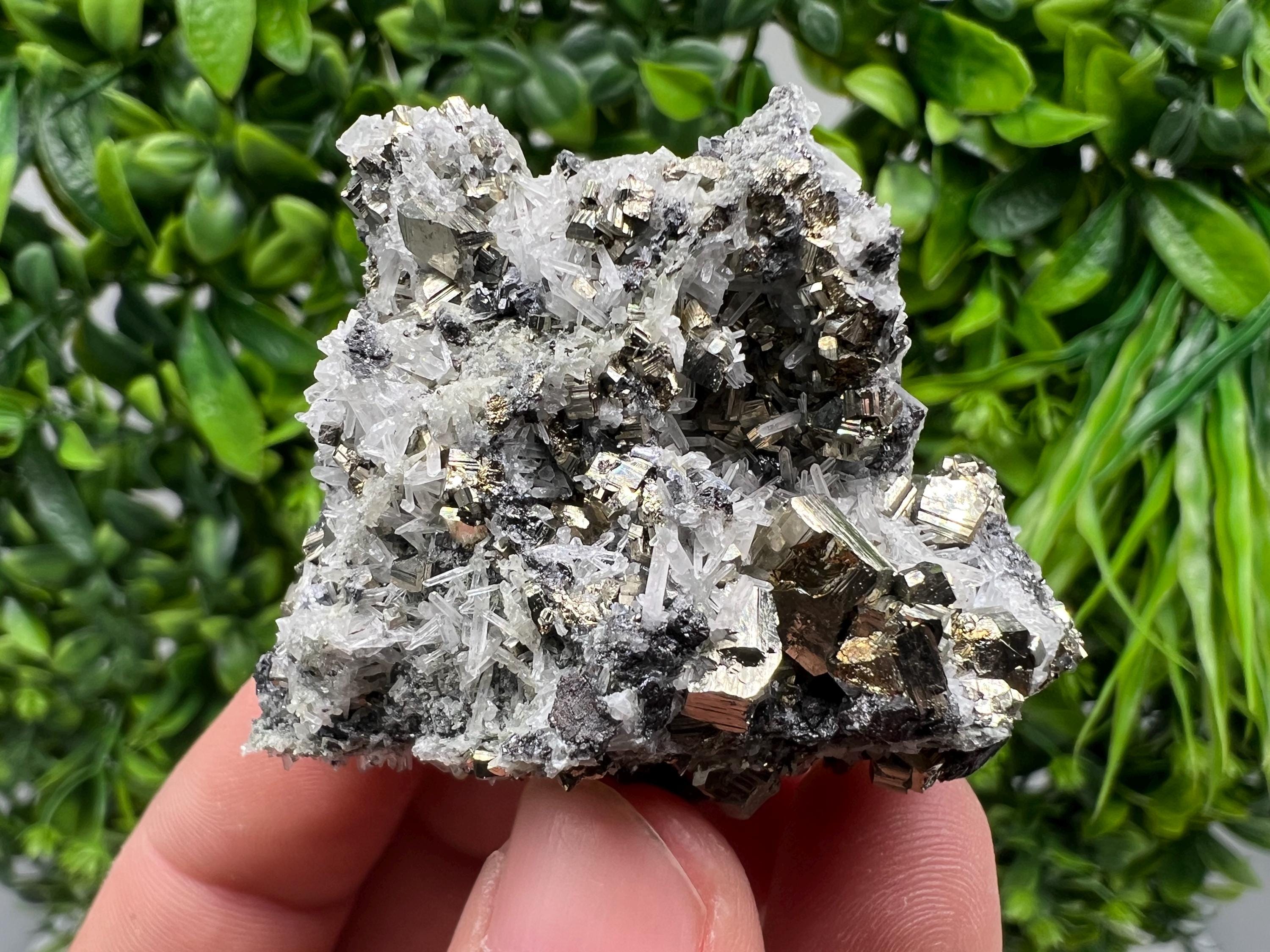 Pyrite on Green Quartz Mineral Specimen, Borieva Mine Bulgaria