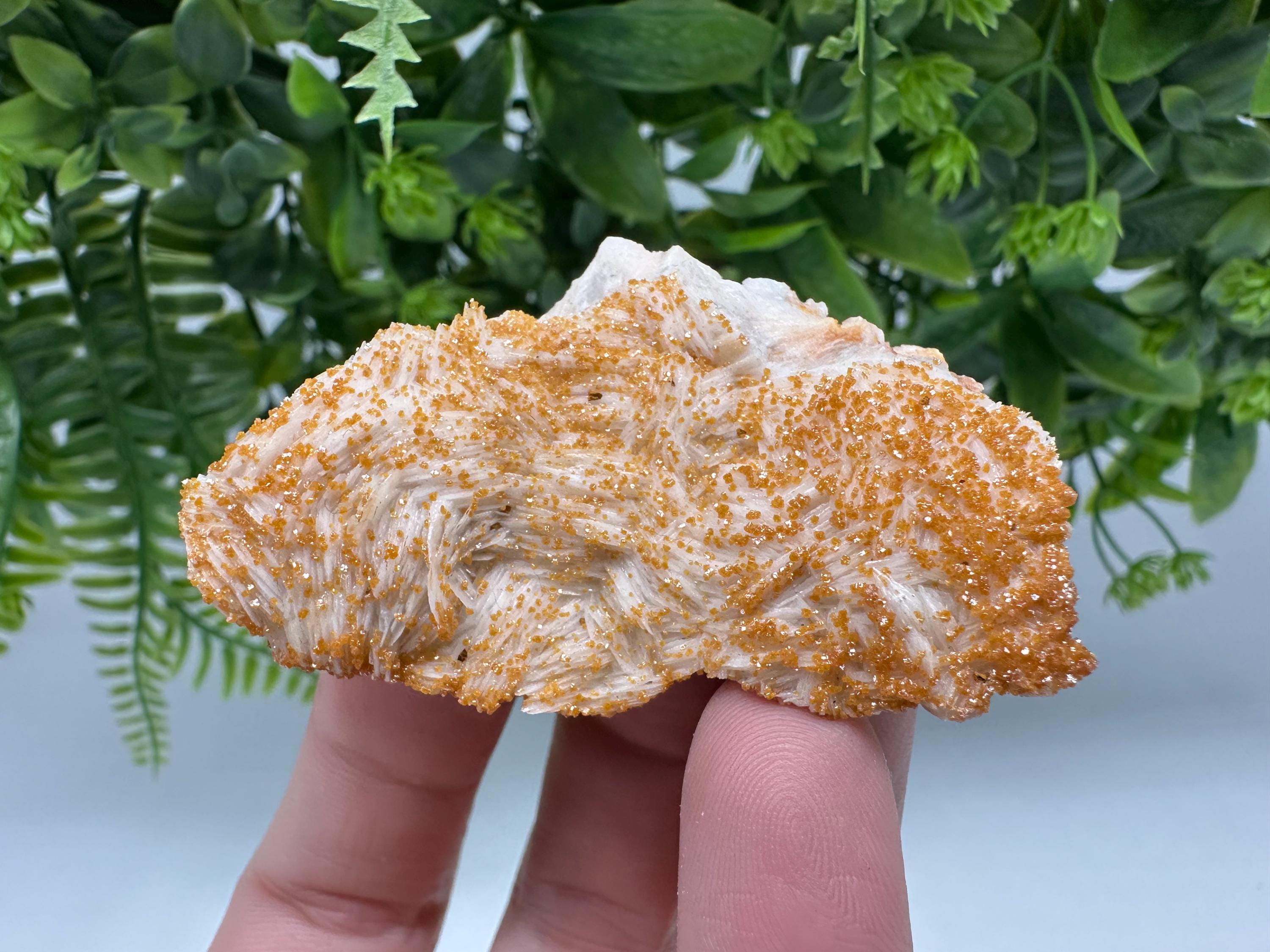 Red Vanadinite on Barite Crystal Specimen from Morocco, Mineral Cluster