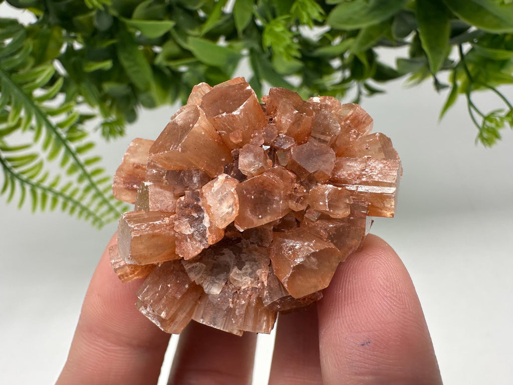 Aragonite Sputnik Cluster: Raw Moroccan Crystal Stone, Home Decor