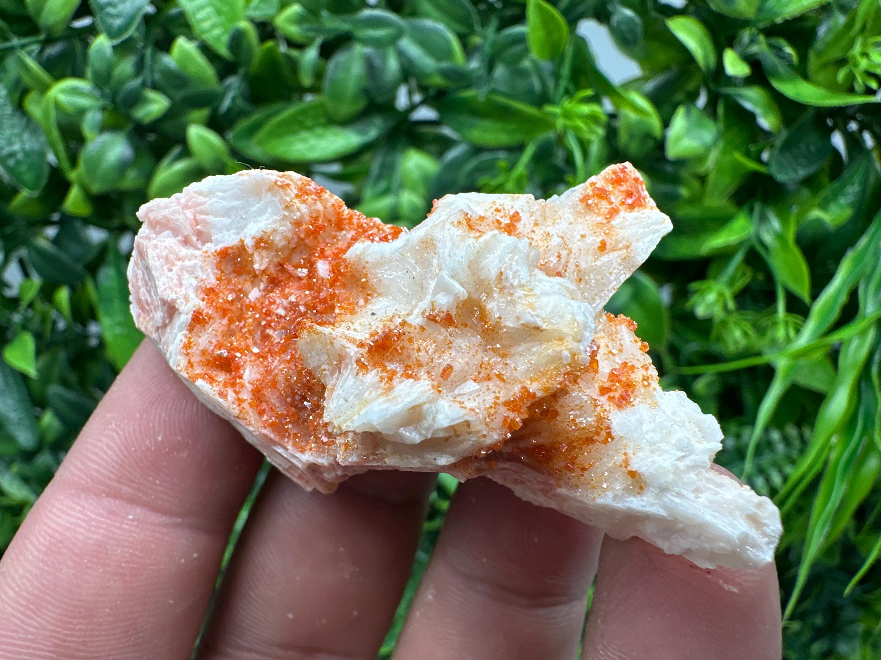 Red Vanadinite on Barite, Moroccan Crystal Cluster