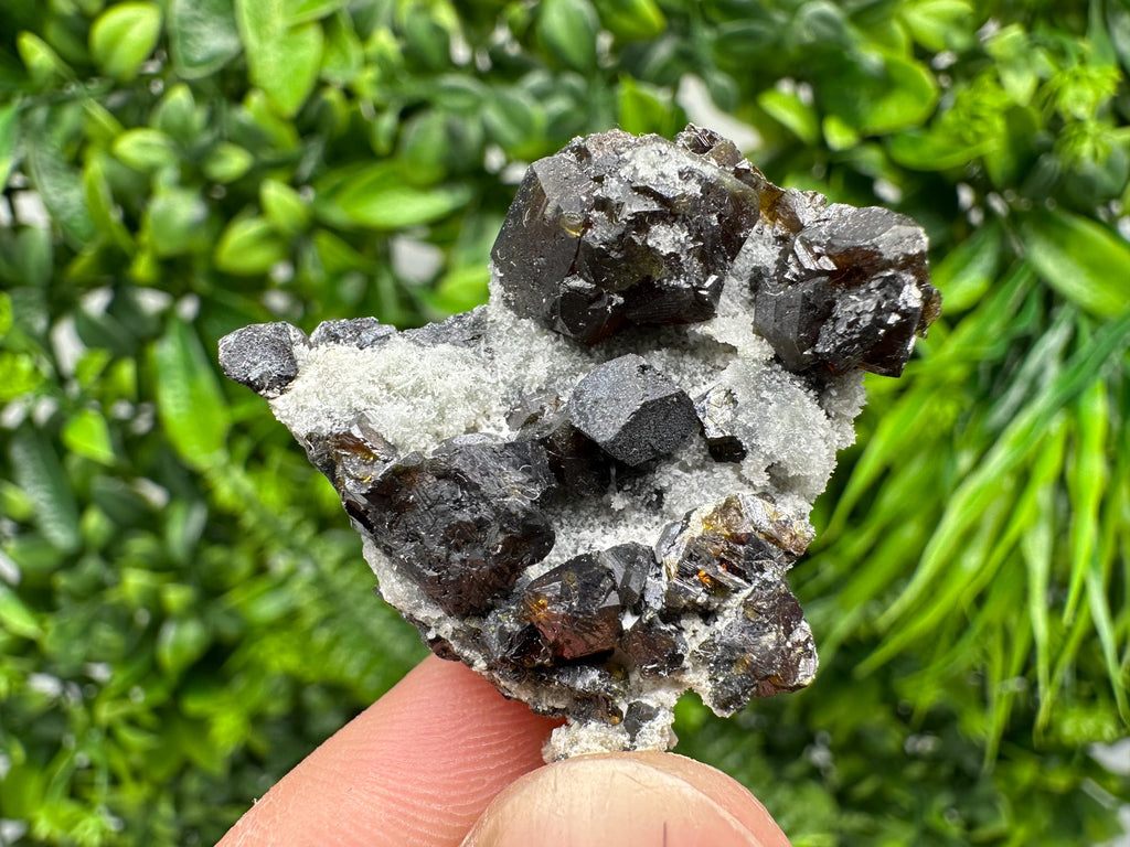 Cleiophane Sphalerite Gem: Rare Transparent Yellow Crystal Mineral