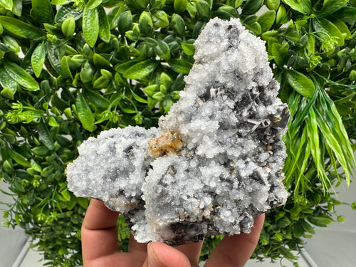 Chalcedony Micro Crystal Specimen: Krushev Dol Mineral Collection