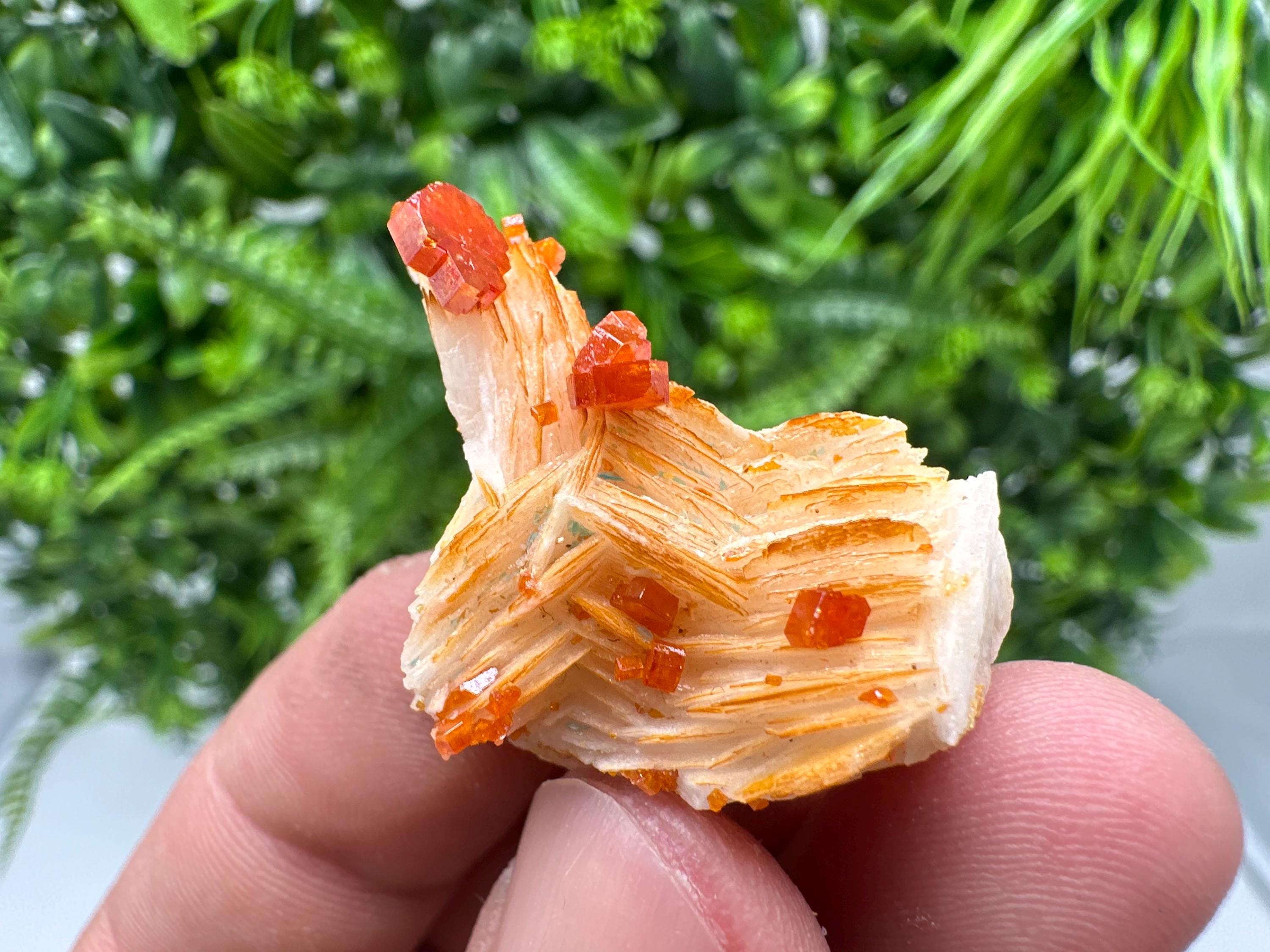 Red Vanadinite on Barite from Marocco,crystal minerals Speciment cluster Vanadinite crystal Vanadinite Geology Vanadinite cluster minerals