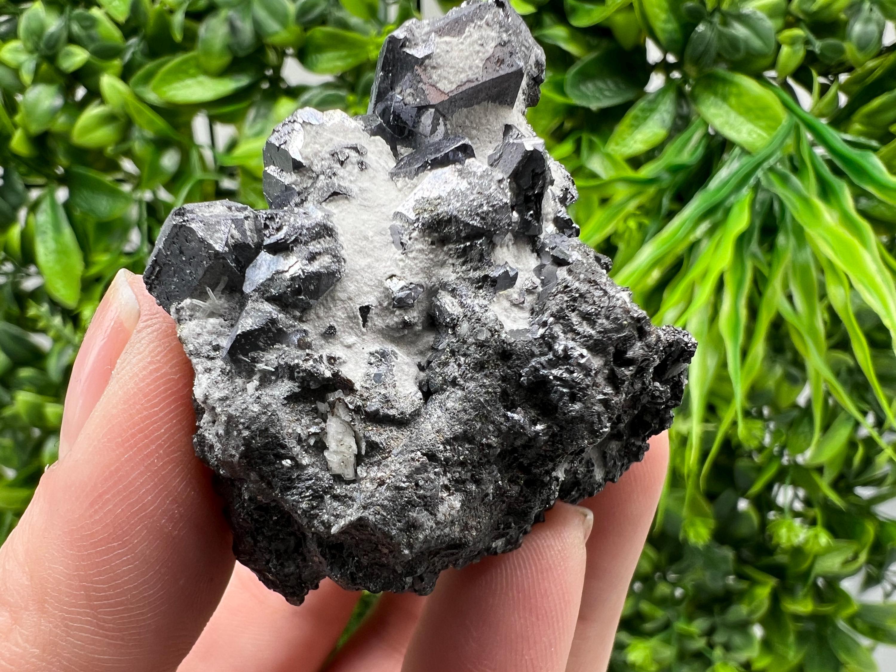 Galena Spinel Law on Sphalerite, Borieva Mine Mineral Specimen