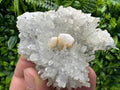 Quartz with Pyrite and Calcite, Djurcovo Laki, Bulgaria