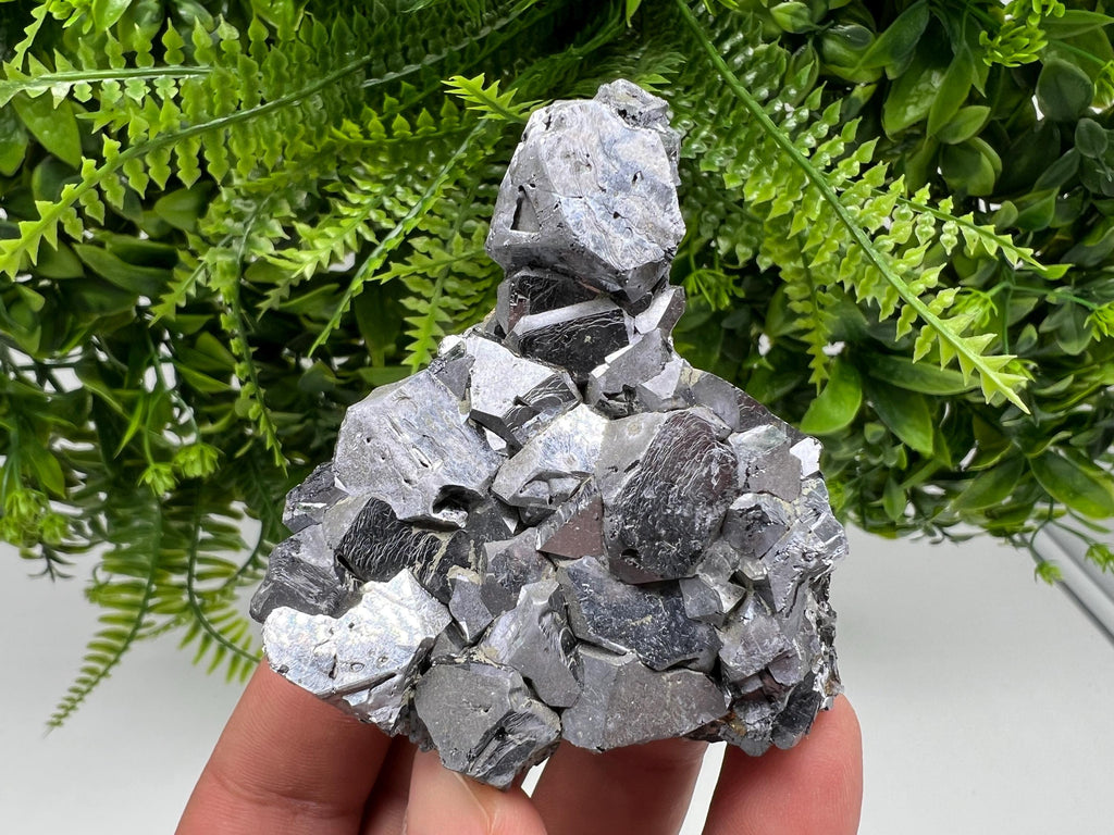 Mirror Galena Mineral Specimen: Rare Crystal from Krushev dol Mine