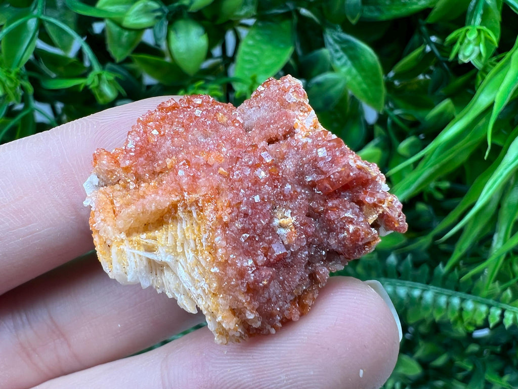Red Vanadinite on Barite from Marocco,crystal minerals Speciment cluster Vanadinite crystal Vanadinite Geology Vanadinite cluster minerals