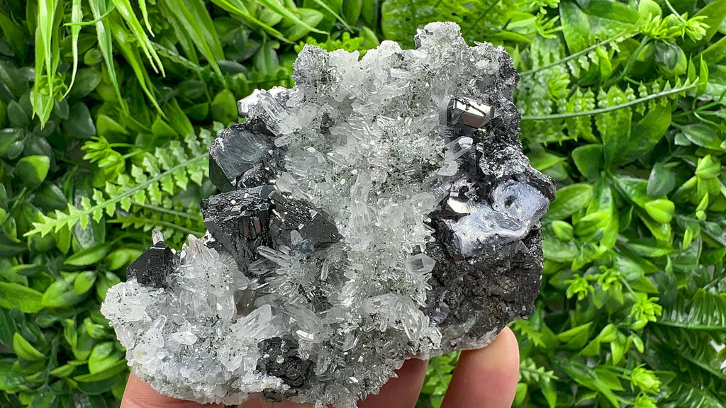Sphalerite, Mirror Galena on Quartz, Bulgaria Minerals, Crystal Decor (9/7/7 cm)