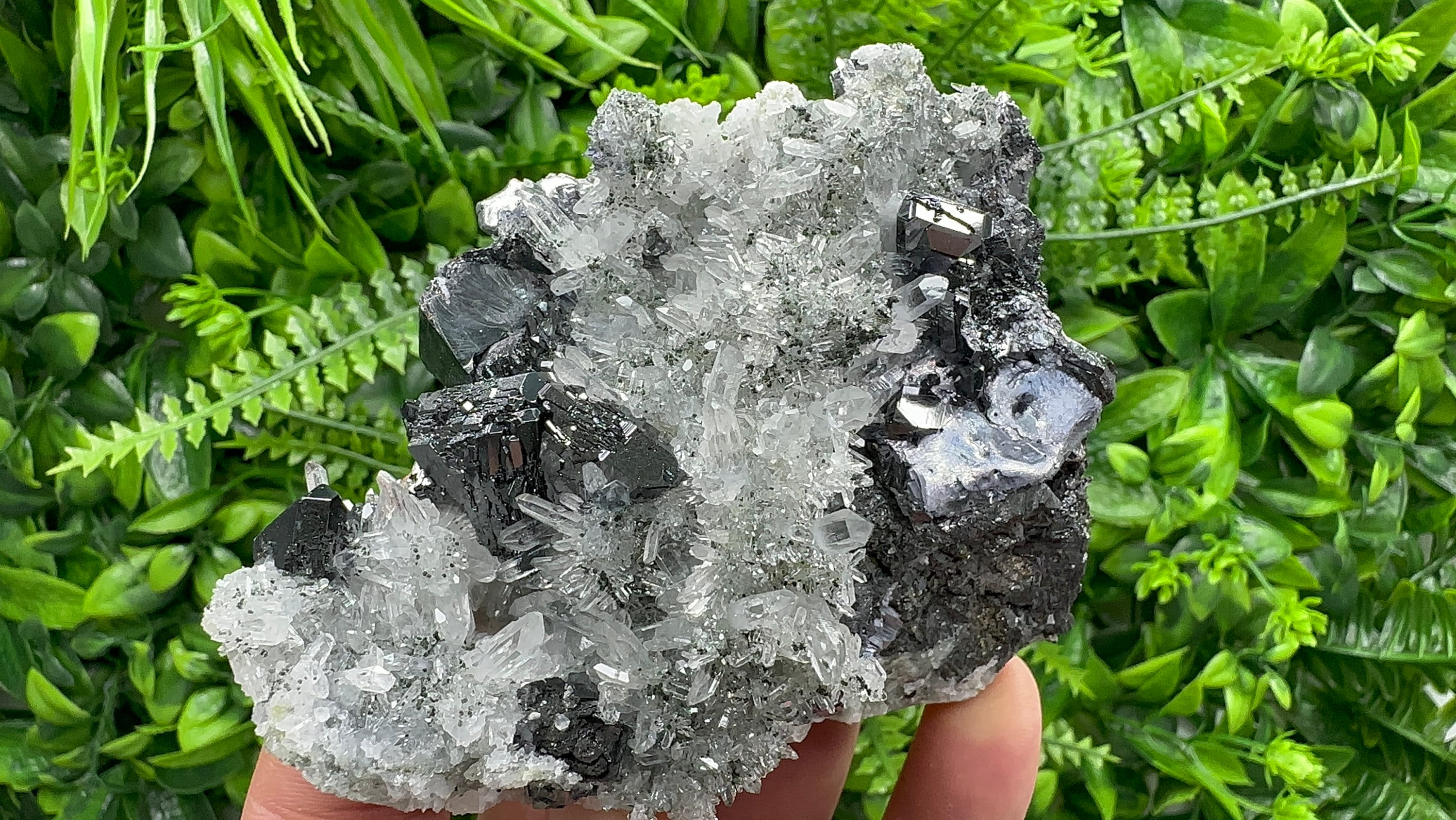 Sphalerite, Mirror Galena on Quartz, Bulgaria Minerals, Crystal Decor (9/7/7 cm)