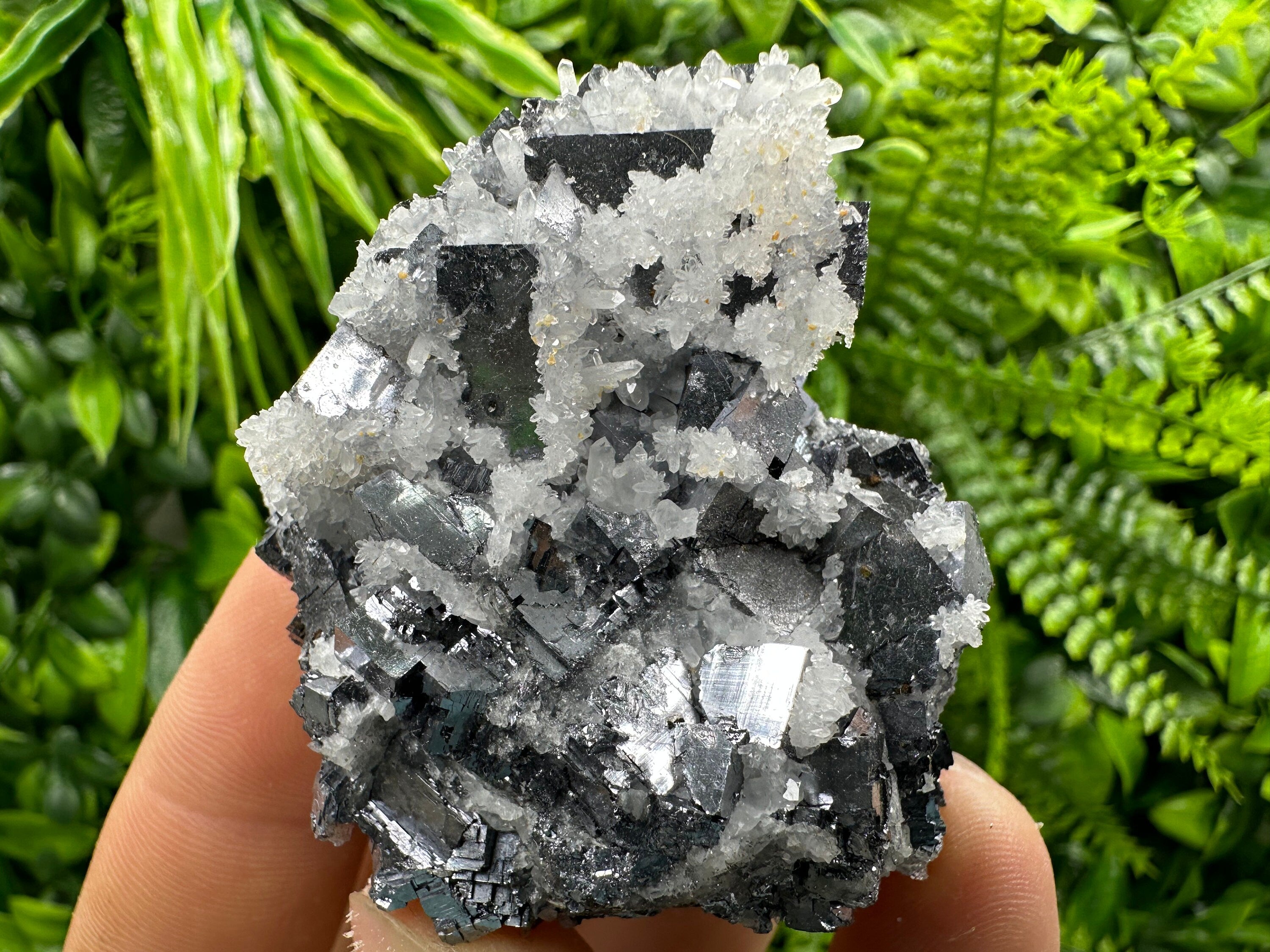 Galena with Quartz Crystal: Natural Mineral Specimen, Bulgaria