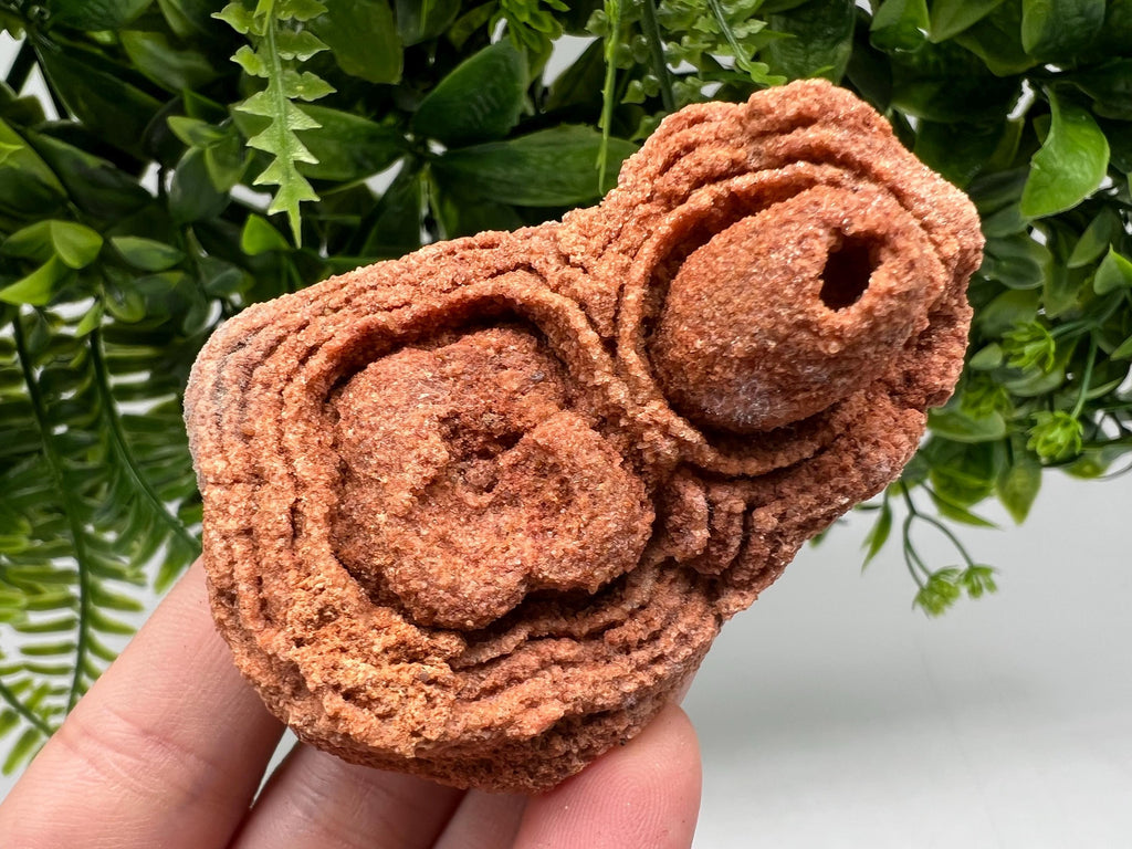 Raw Moroccan Stromatolite Fossil Specimen, Grounding Meditation