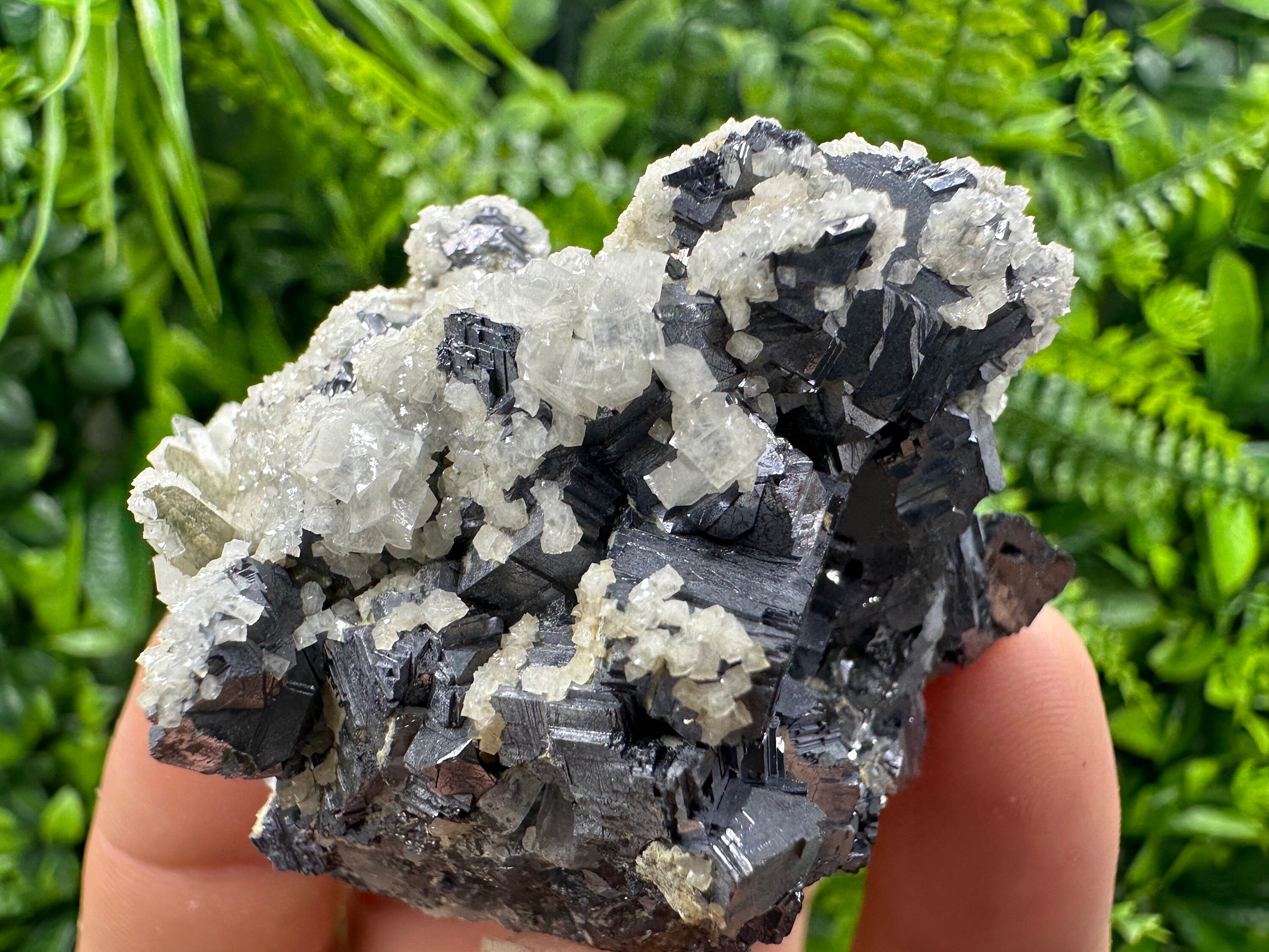 Rare Calcite on Galena: Borieva Mine, Madan, Bulgaria