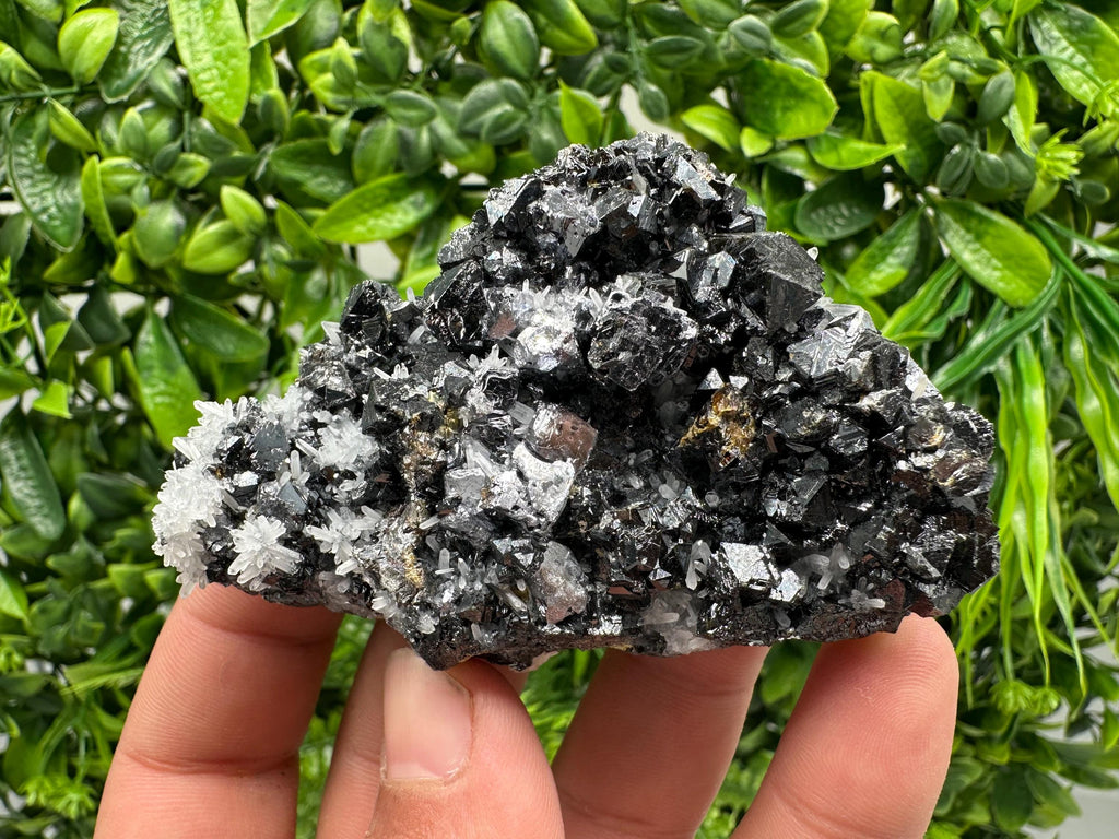 Wonderful Sphalerite on Quartz,From Borieva mine,Bulgaria,natural mineral,collection crystal,home decor stone,rare cluster,gift,souvenir