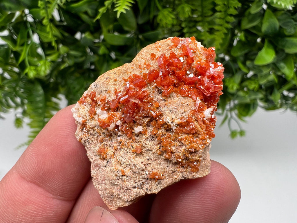 Red Vanadinite on Barite from Marocco,crystal minerals Speciment cluster Vanadinite crystal Vanadinite Geology Vanadinite cluster minerals