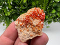 Red Vanadinite on Barite from Marocco,crystal minerals Speciment cluster Vanadinite crystal Vanadinite Geology Vanadinite cluster minerals