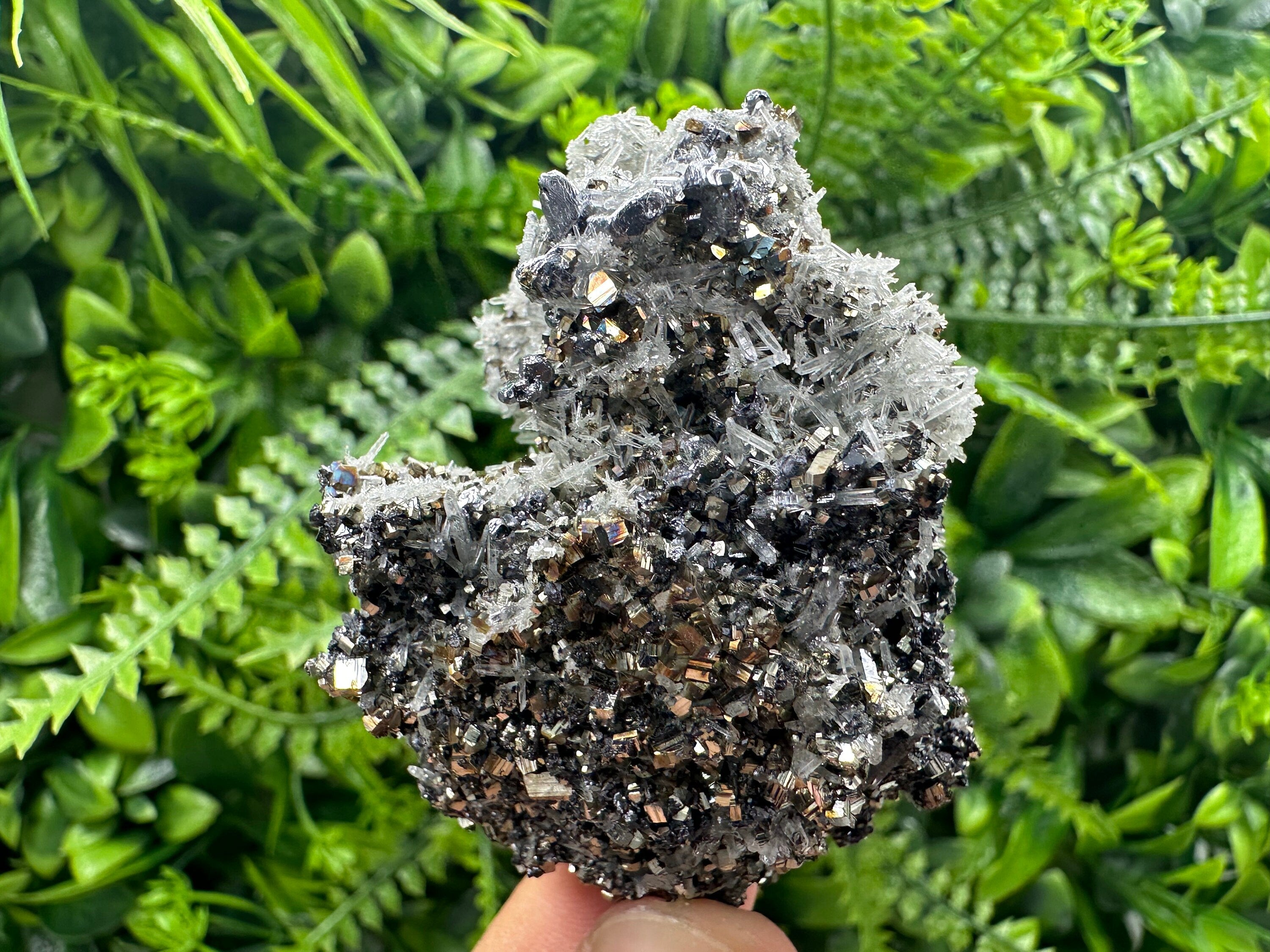 Galena Pyrite Sphalerite with Quartz, Borieva Mine Mineral Specimen