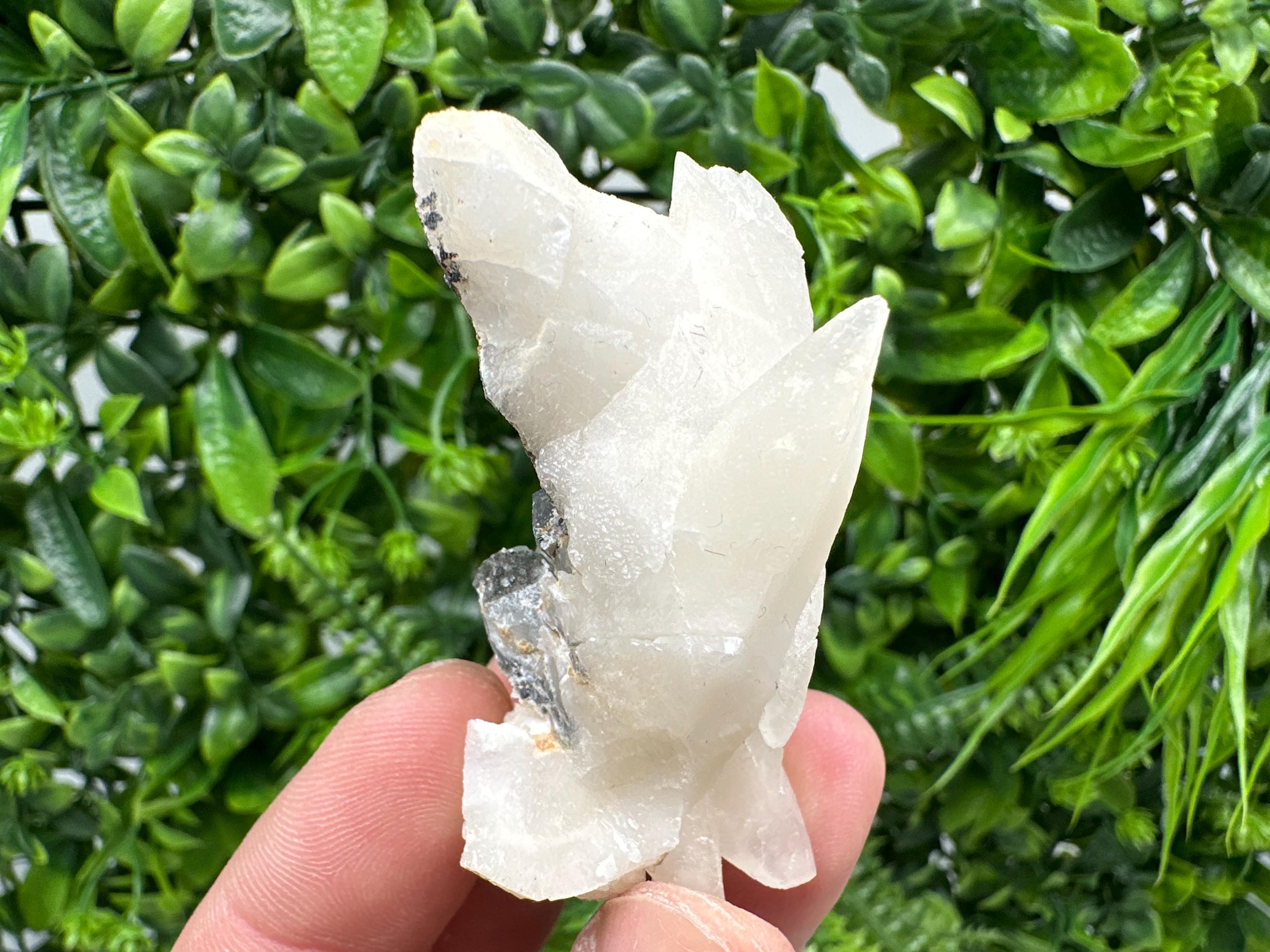 Calcite on Aragonite: Djurcovo Mine, Bulgaria Crystal (6/3/3cm)