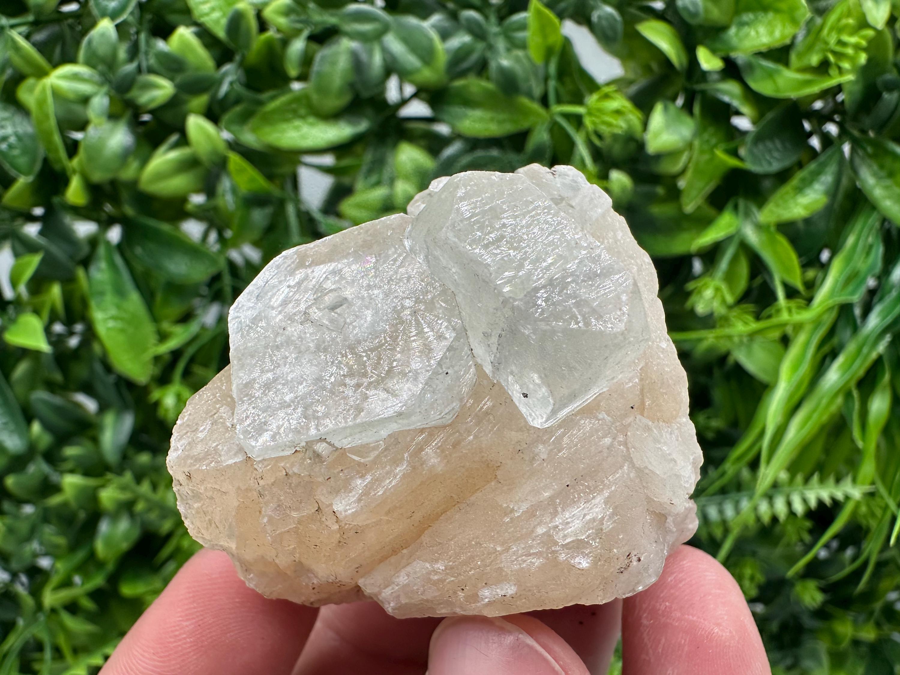 Apophyllite Stilbite on Chalcedony, India Mineral Specimen