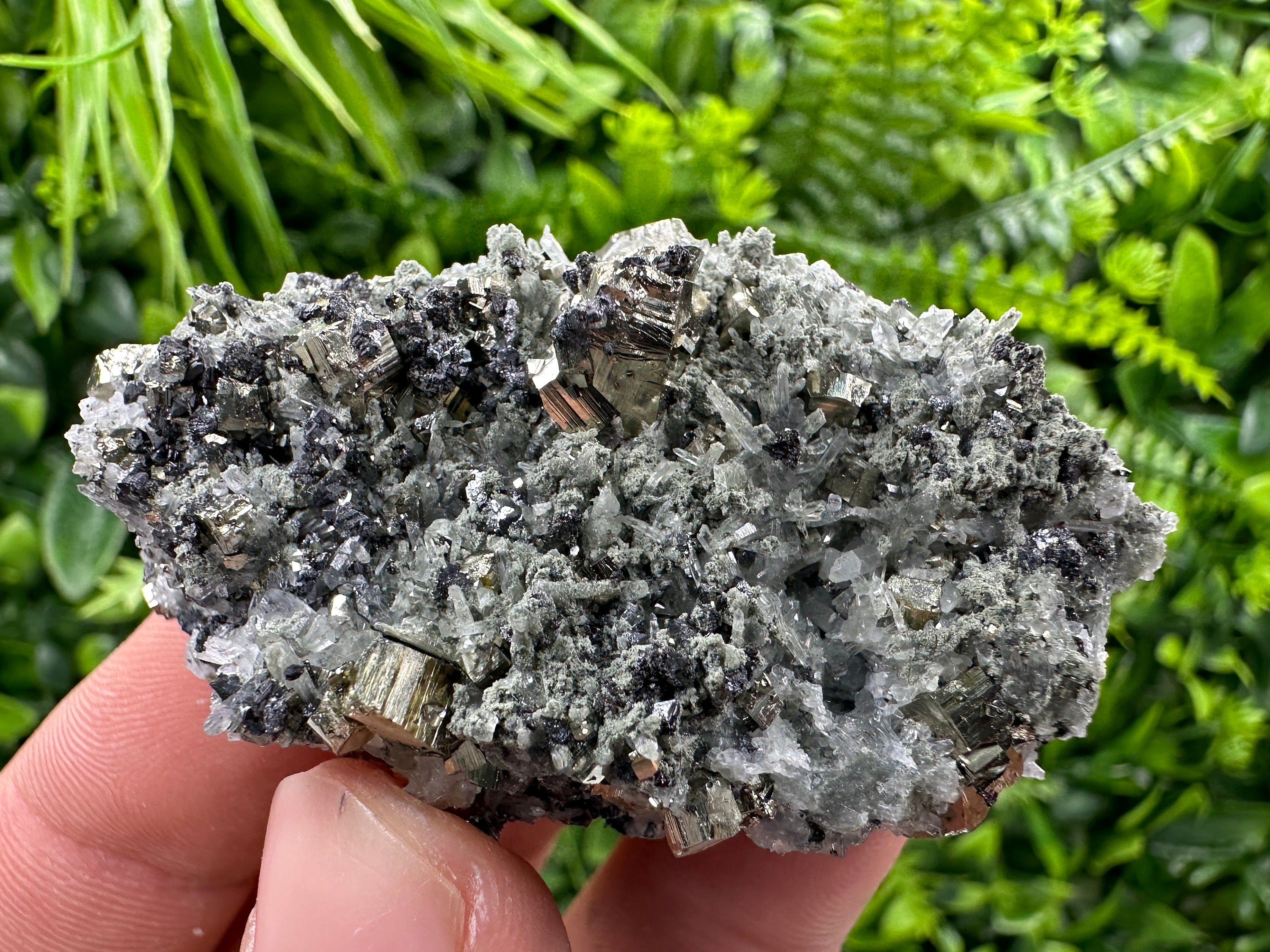 Pyrite on Quartz Needles, Borieva Mine Bulgaria, Natural Mineral Specimen