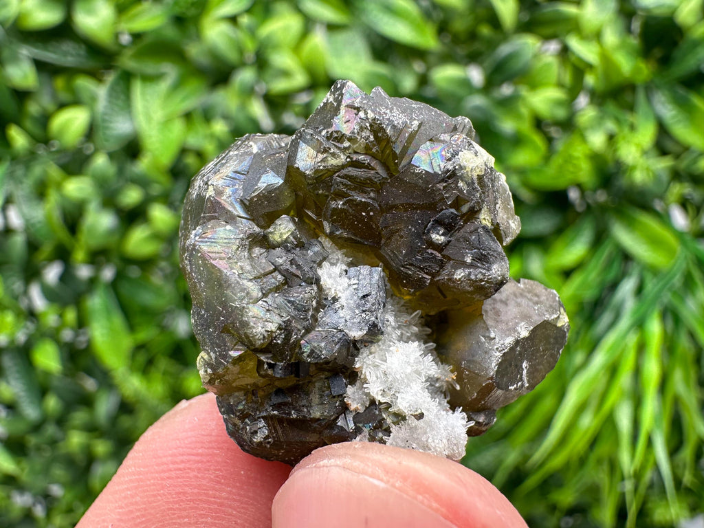 Cleiophane Sphalerite Gem: Rare Transparent Crystal, Bulgaria