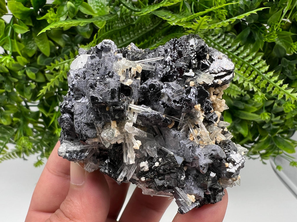 Galena Sphalerite Quartz Mineral Specimen, Krushev dol Mine, Bulgaria