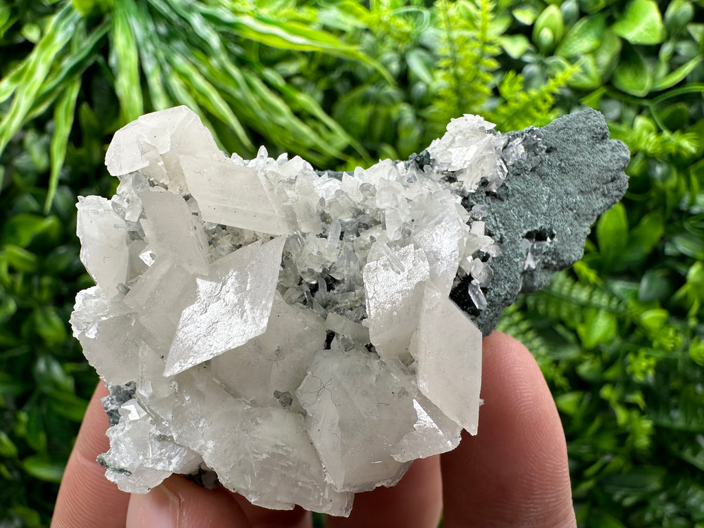 Calcite on Matrix, Borieva Mine Bulgaria, Rare Mineral Specimen