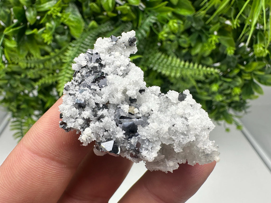 Galena Sphalerite Quartz Mineral Specimen, Krushev Dol Mine