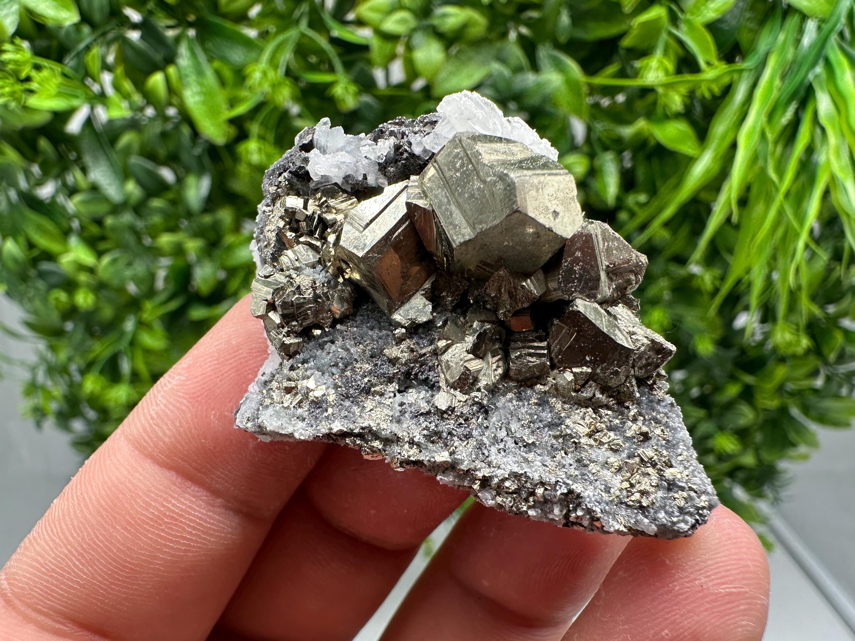 Golden Pyrite,Sphalerite from 9th September mine,Madan,Bulgaria,natural,collectible mineral specimen,home decor crystal,Pyrite cluster,